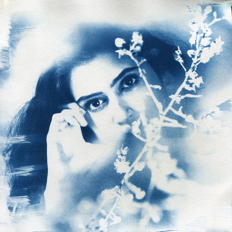  Through the Glass   Cyanotype on paper   8x8 