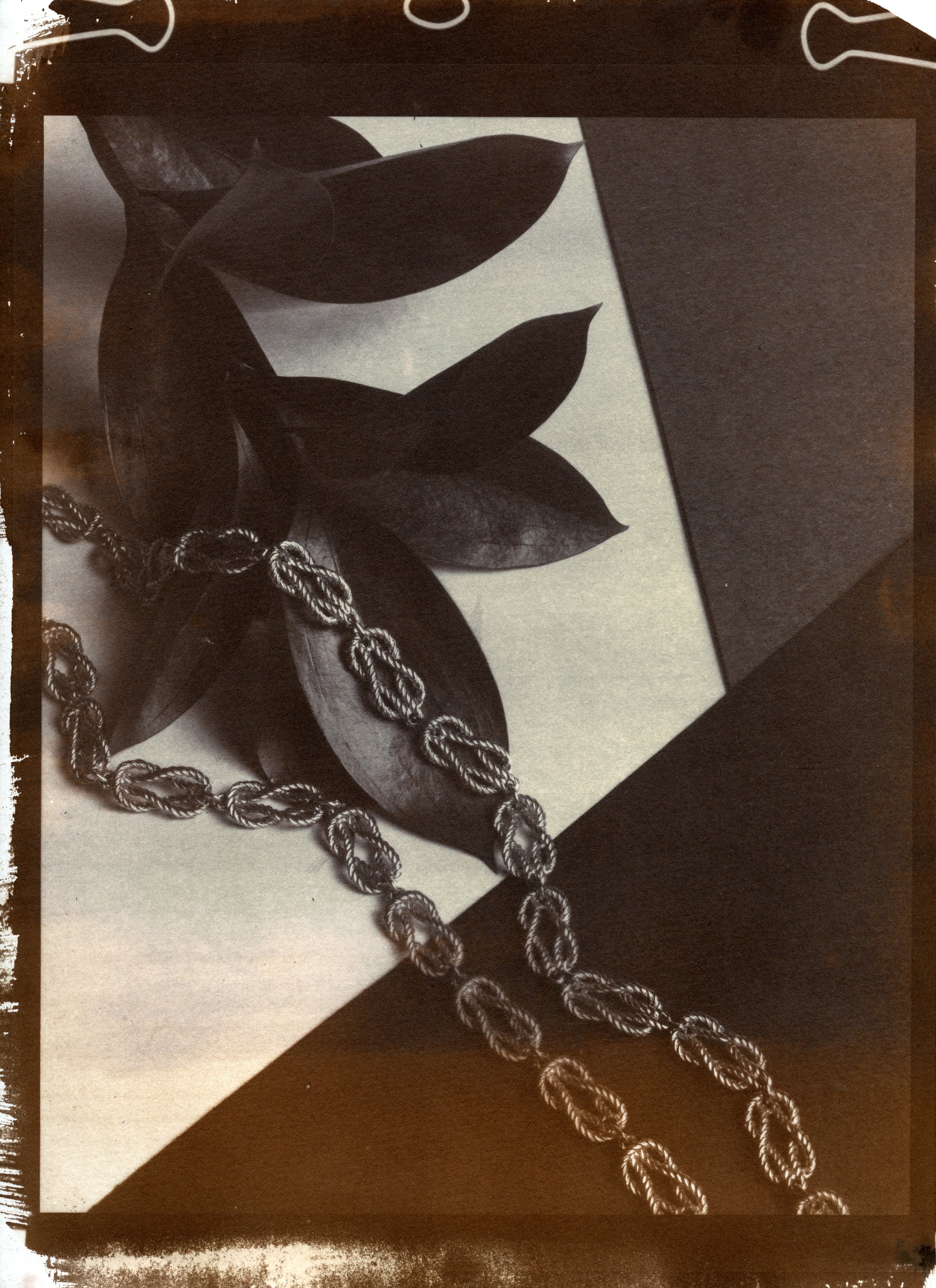  Van Dyke Brown alternative photo process 