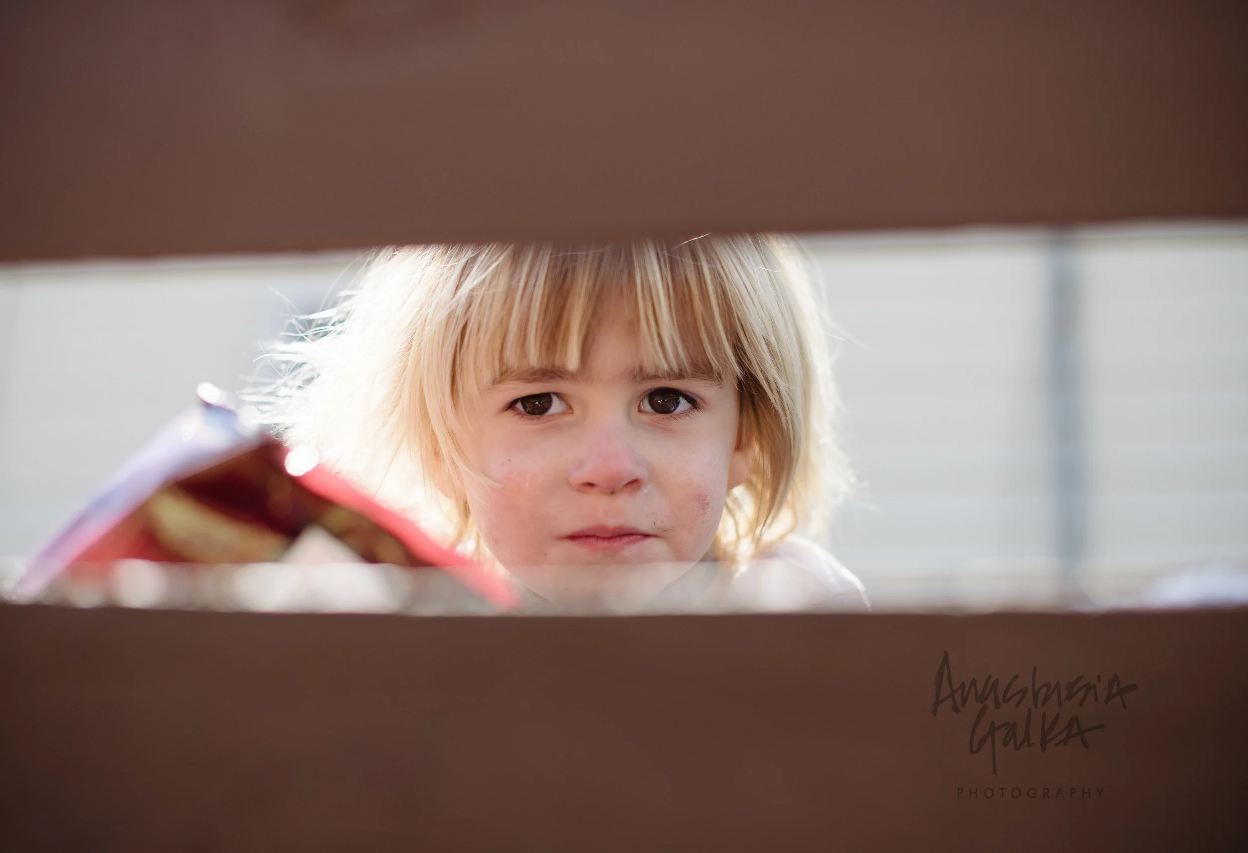 A Picture Week (5 of 1).jpg