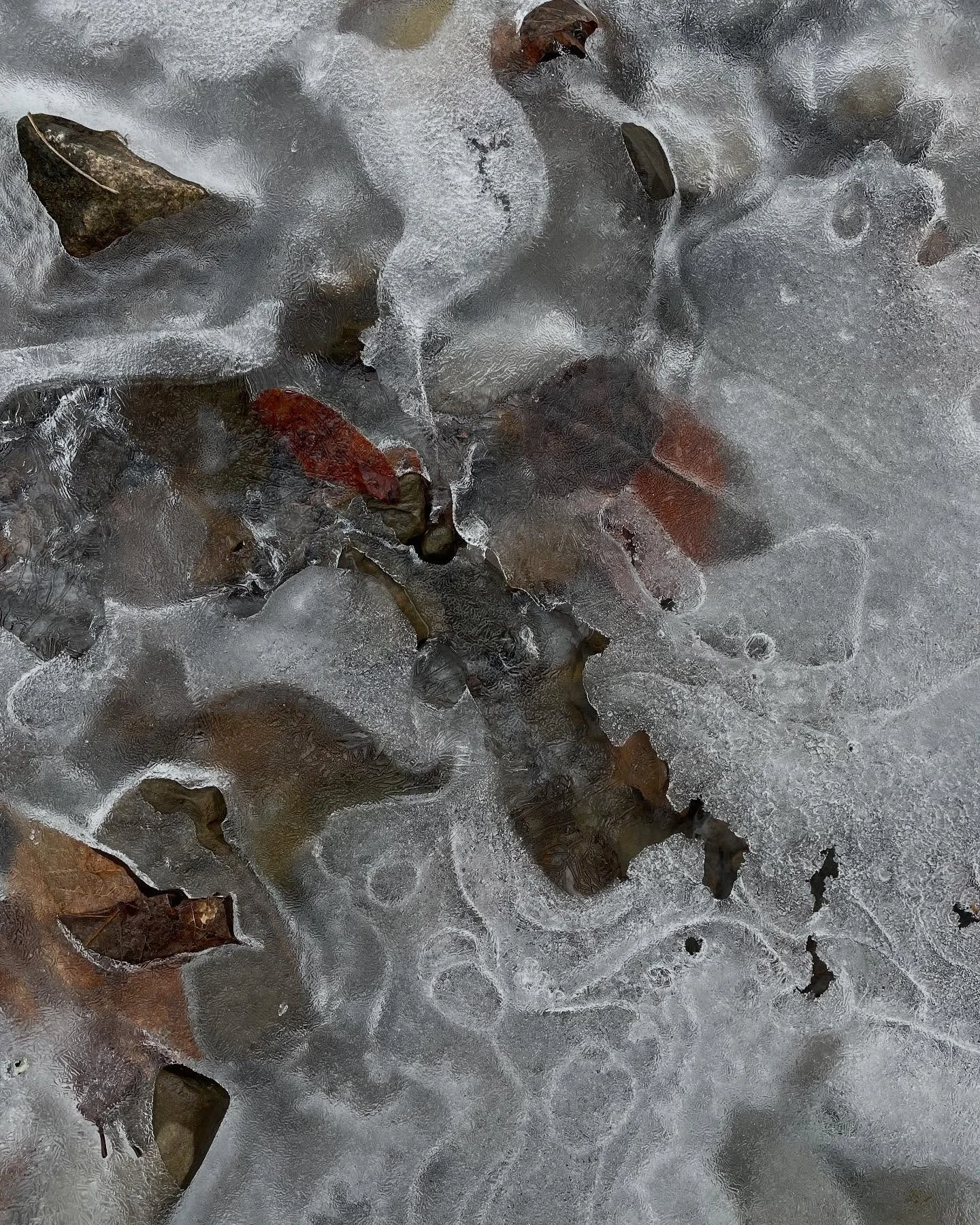 March moods of freezes and thaws.