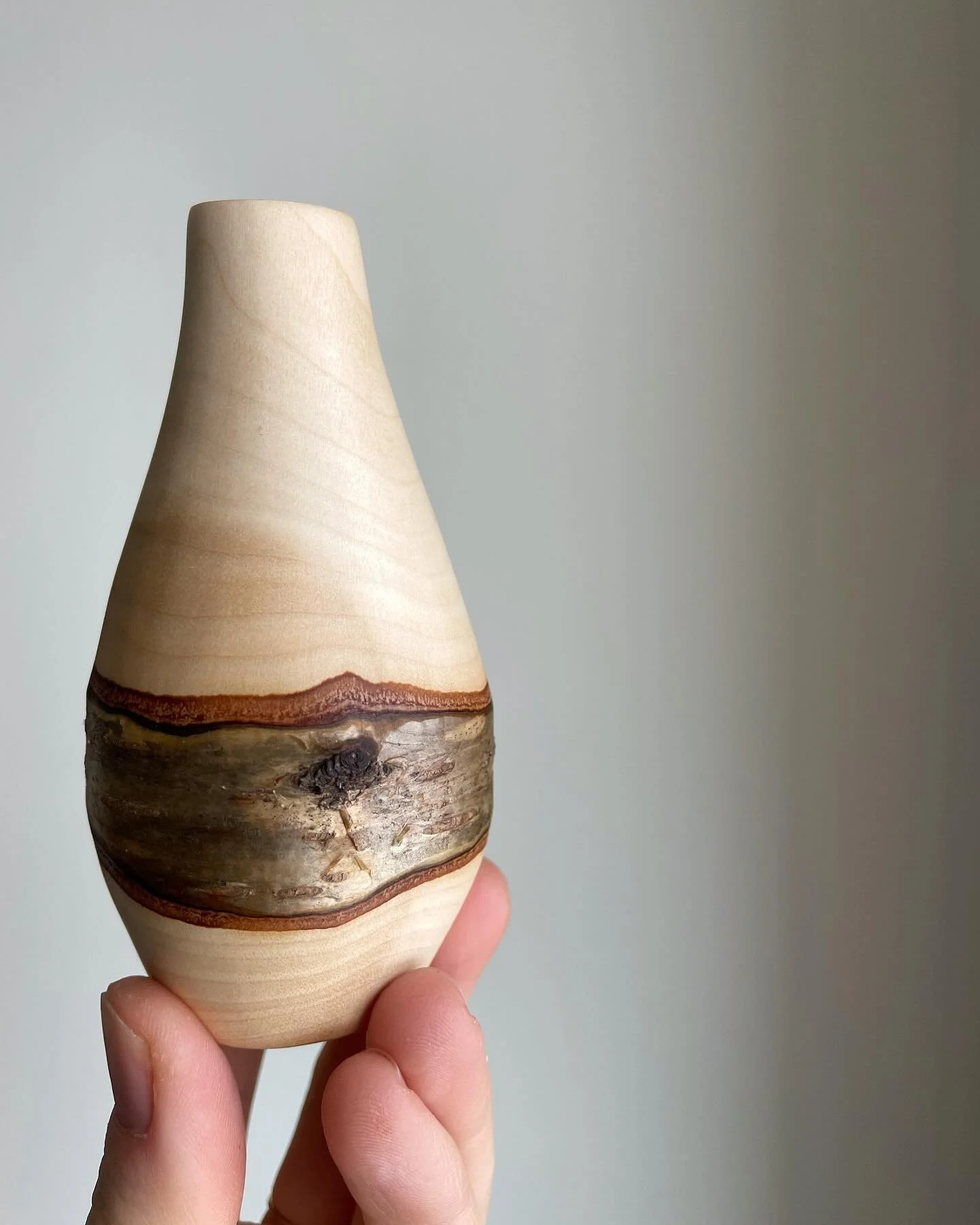 In the madness, I turn to trees. They save me every time.