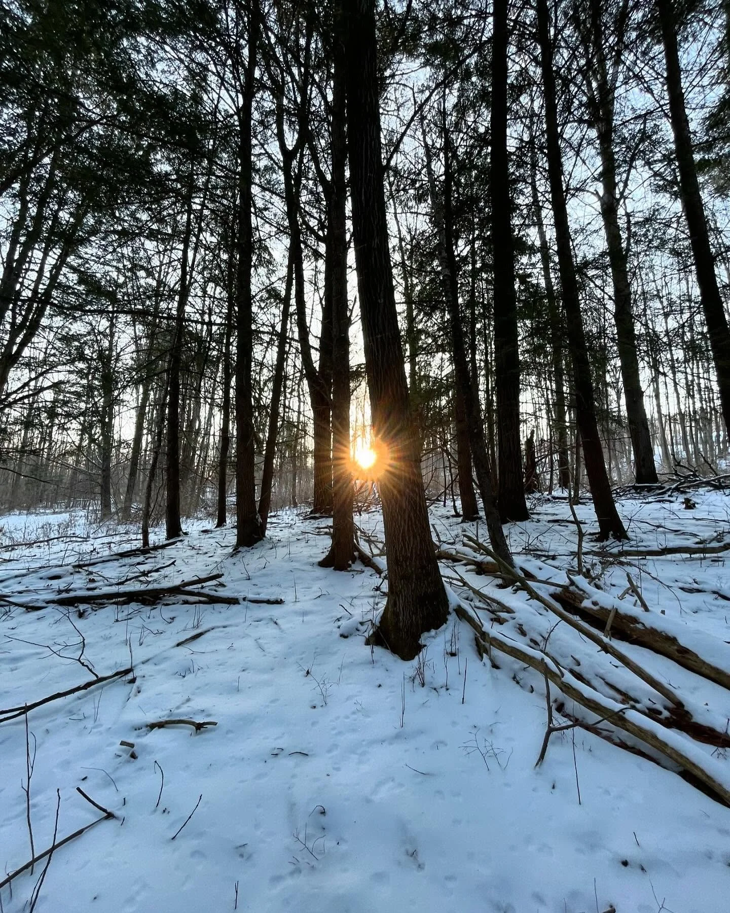 These days you&rsquo;ll find me seeking the light.