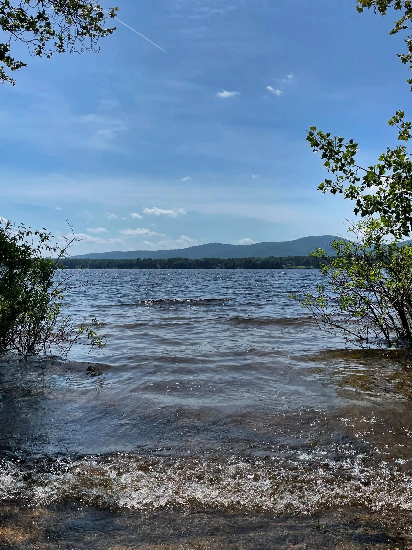 &ldquo;The shore is an ancient world, for as long as there has been an earth and sea there has been this place of the meeting of land and water.&rdquo;

Words of Rachel Carson &hearts;︎