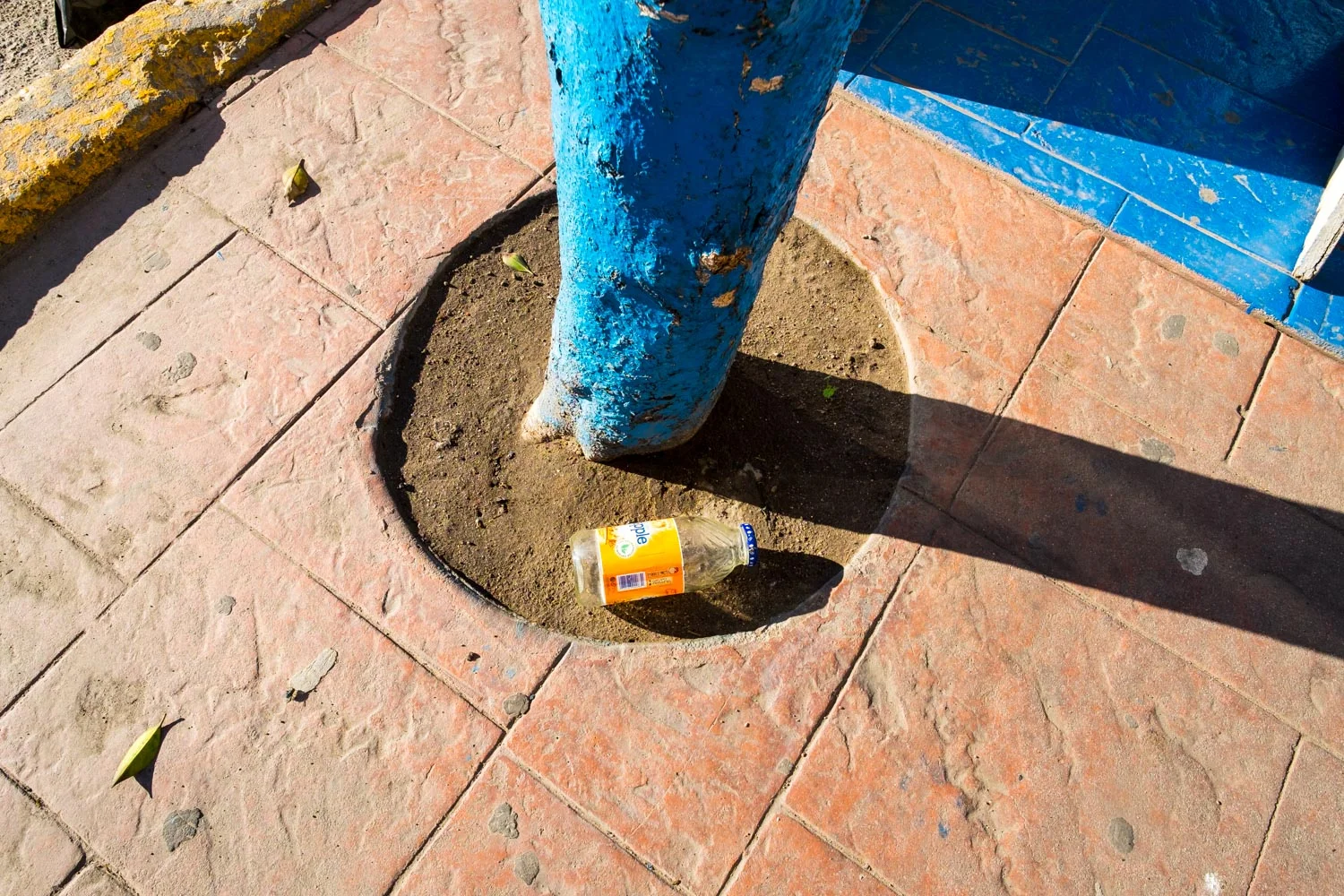 rosarito-5237.jpg