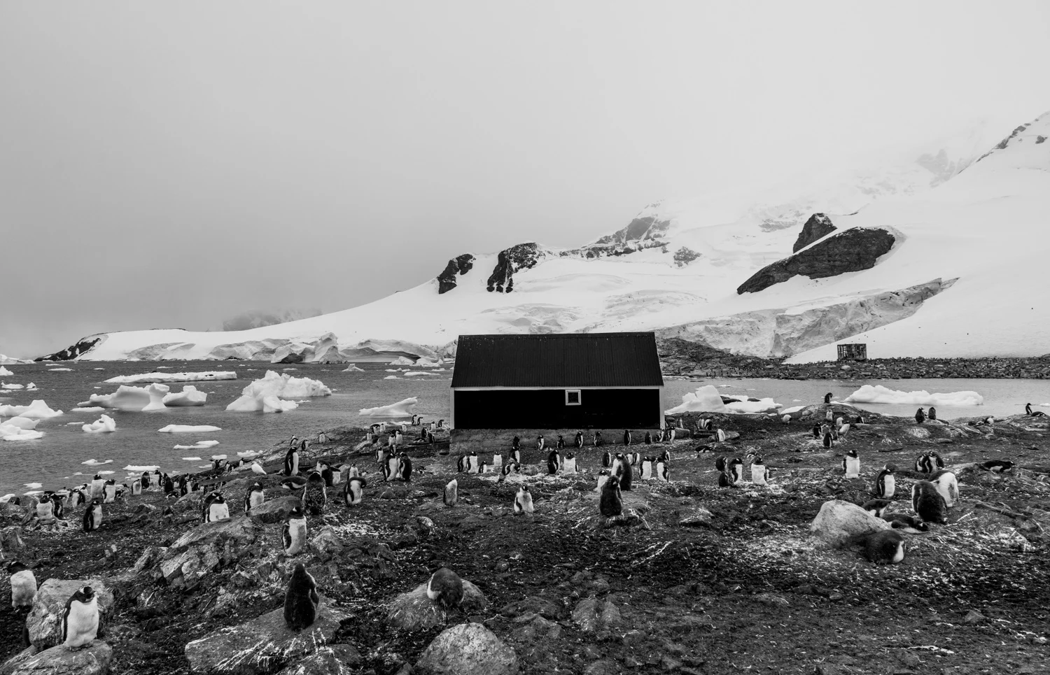 _DSC3627.jpg