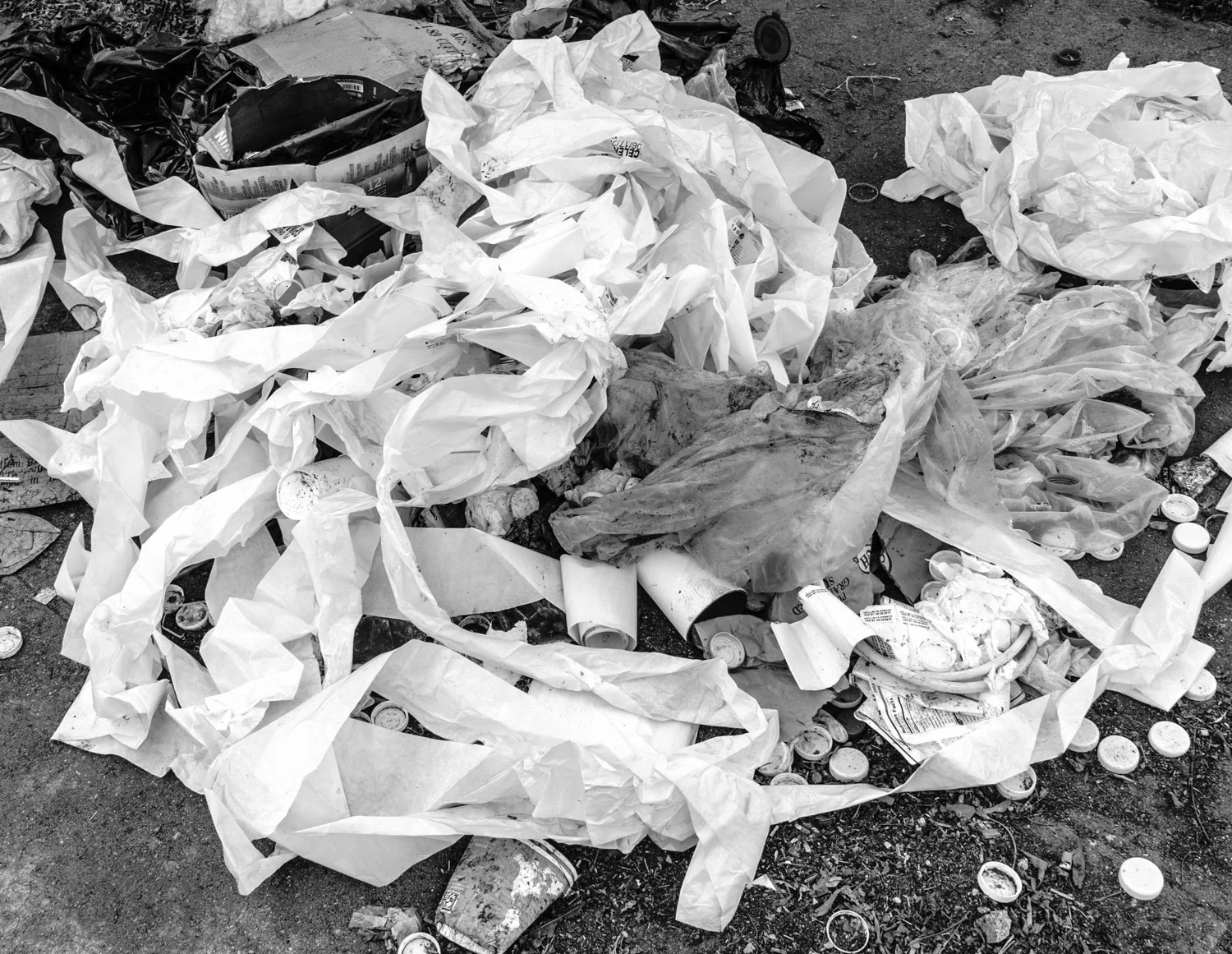 paperwork-0137.jpg
