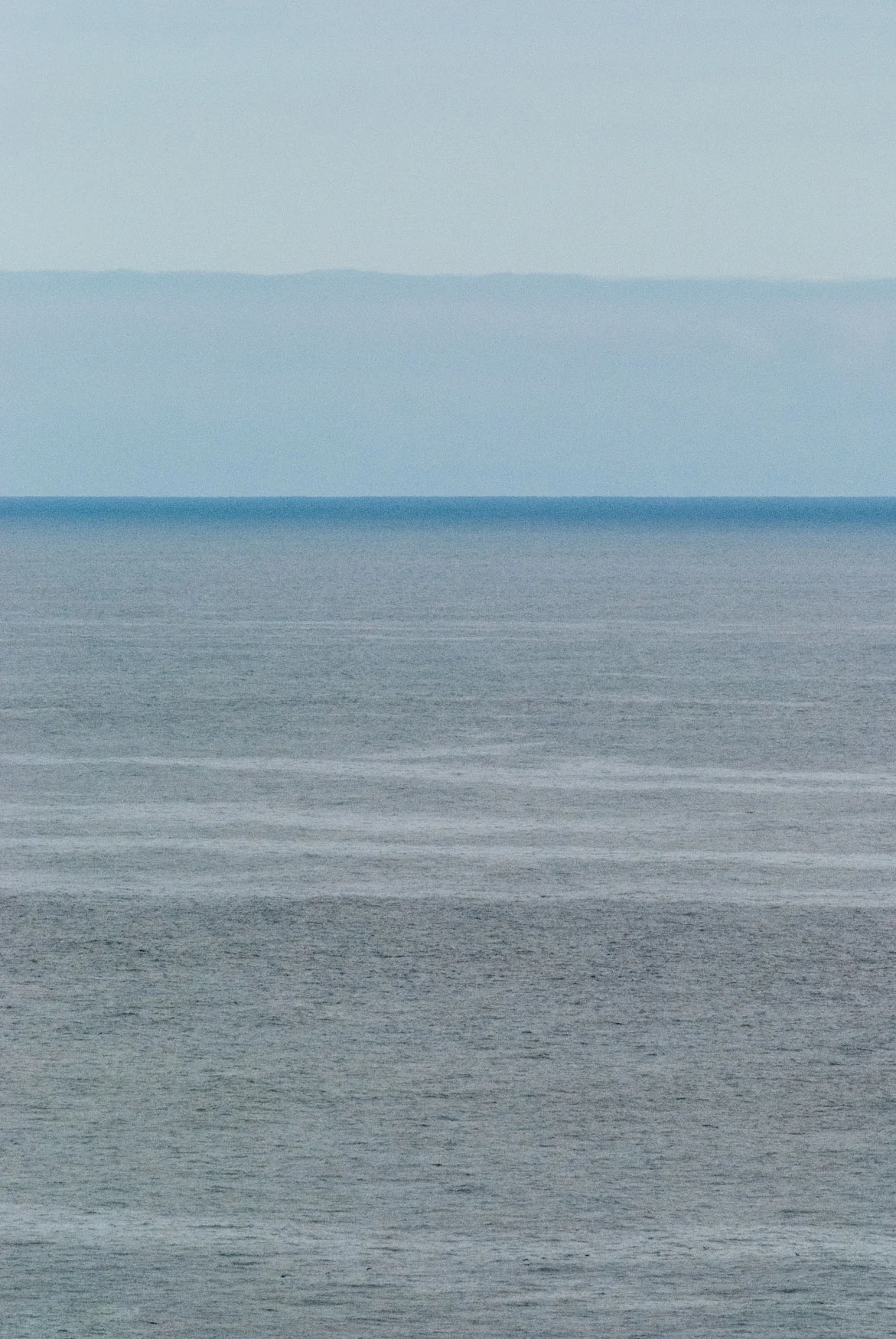DSC_0021.jpg