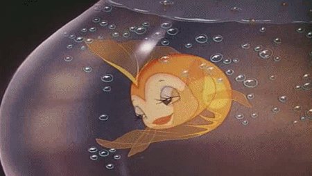 giphy (1).gif