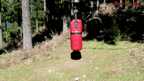 Lamb Punching Bag GIF-source.gif