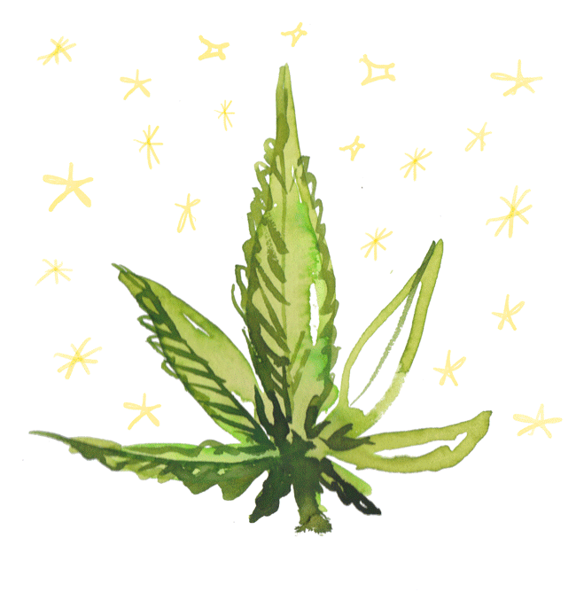 unnamed.gif