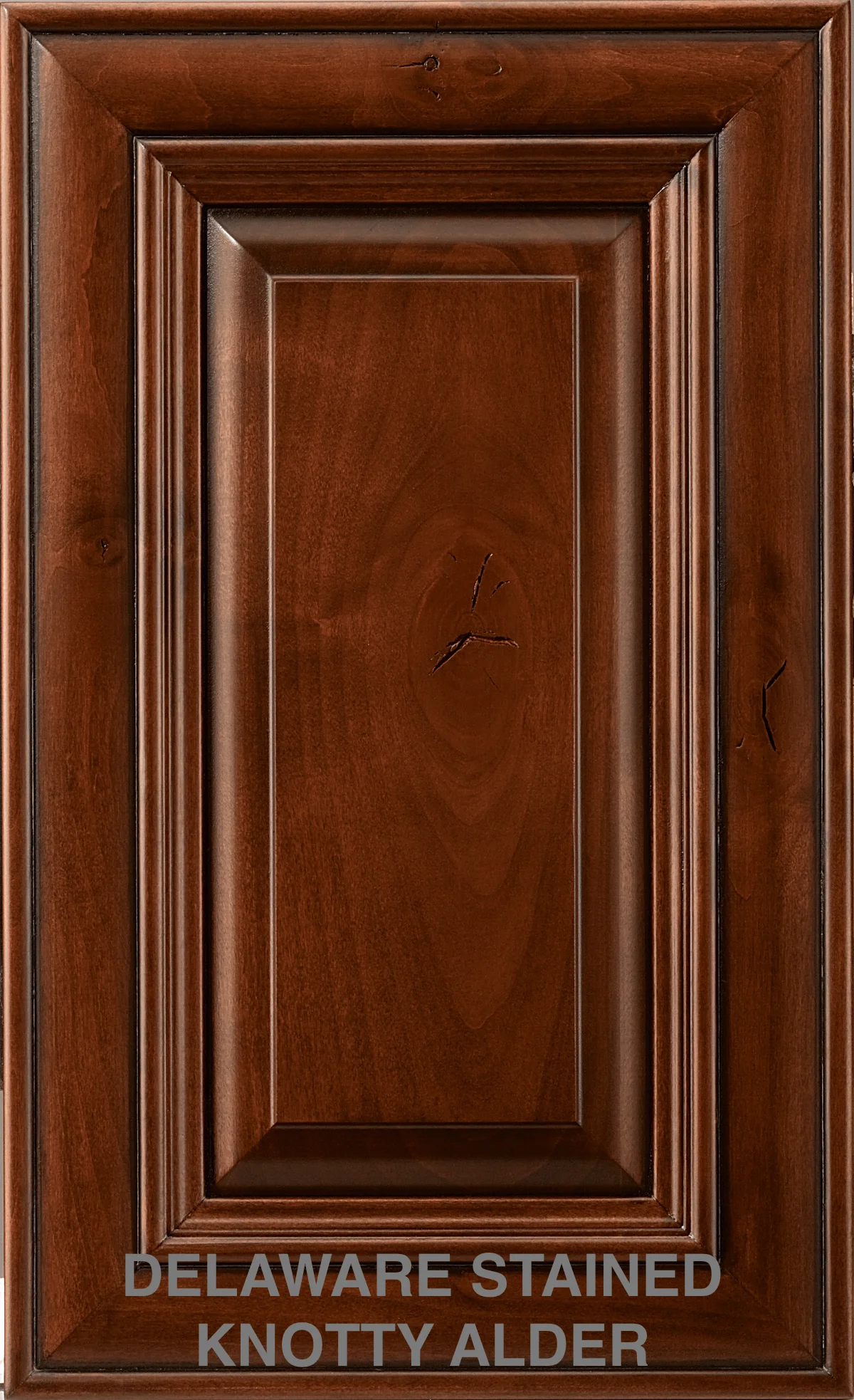 3 538_Delaware_RKNA_Pretzel_Trra_cc.jpg
