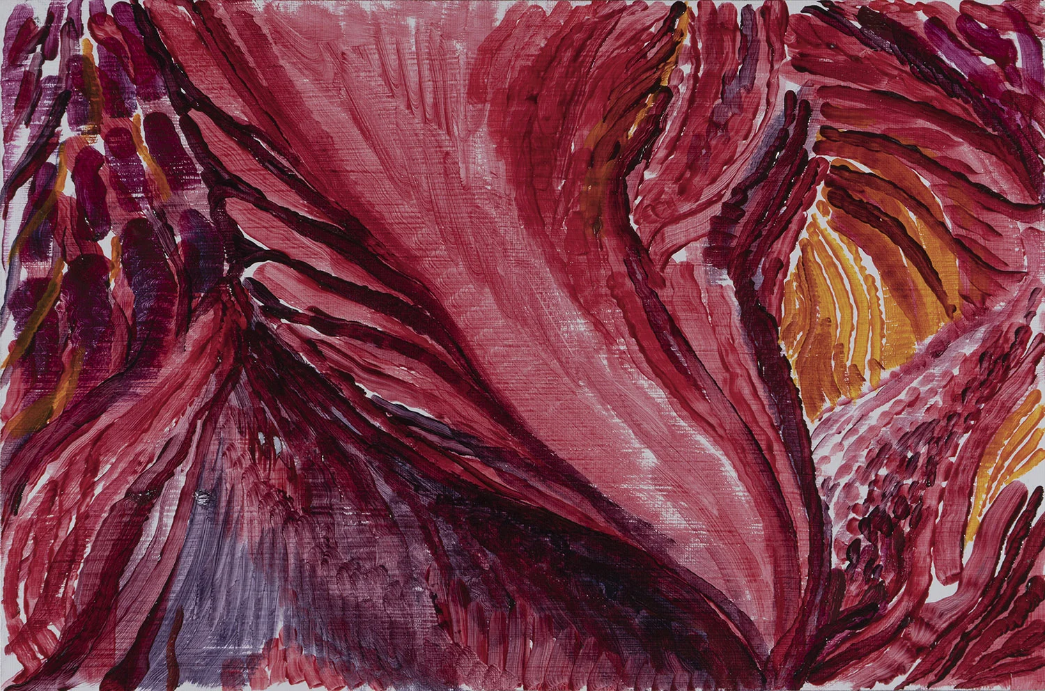Pelican