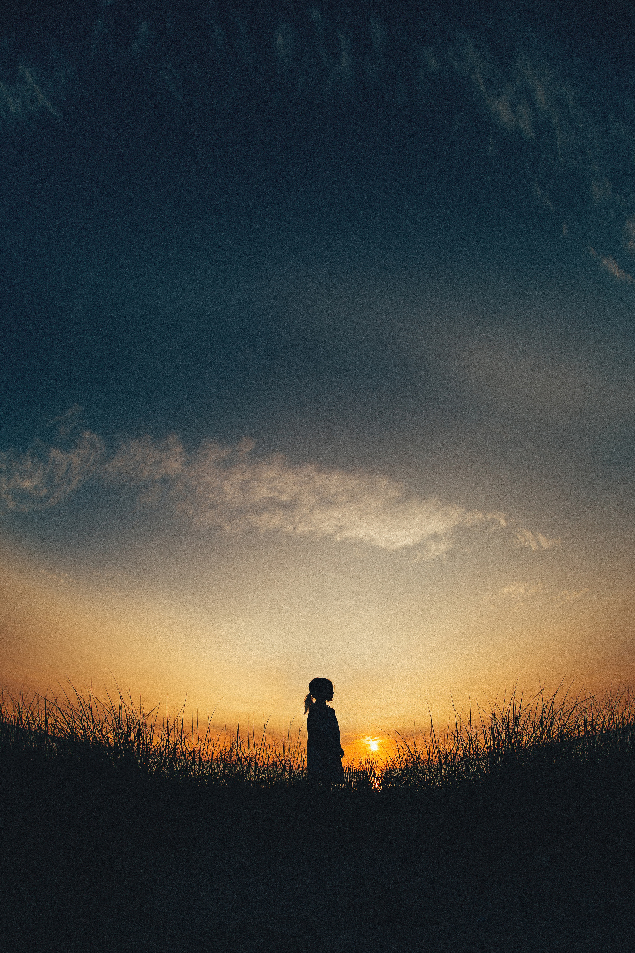 hello-olivia-photography-long-island-photographer-wide-angle-silhouette.jpg