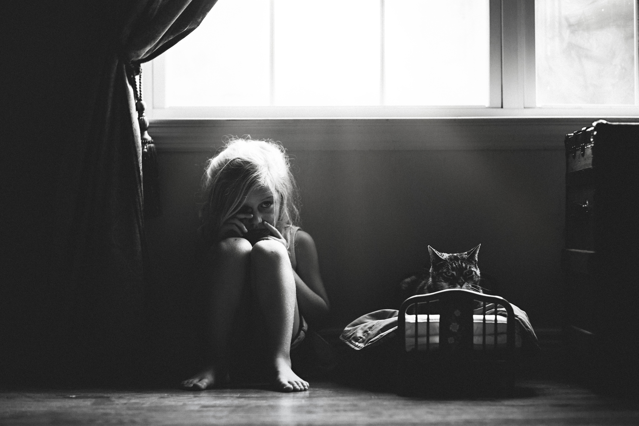 hello-olivia-photography-long-island-photographer-with-the-cat-window-light.jpg