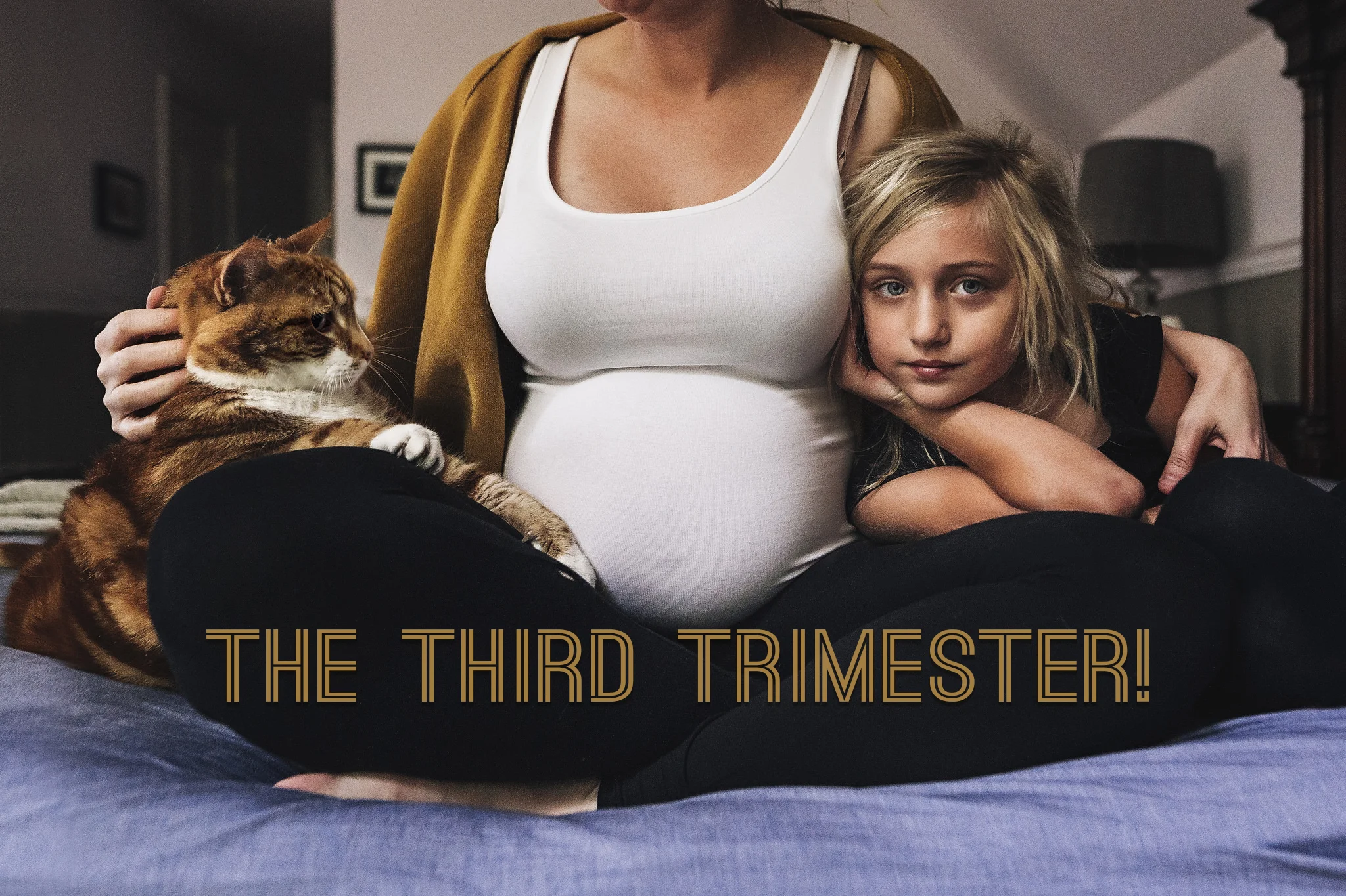 The Third Trimester! - A 365 Post about getting IN THE PICTURE | Hello Olivia Photography