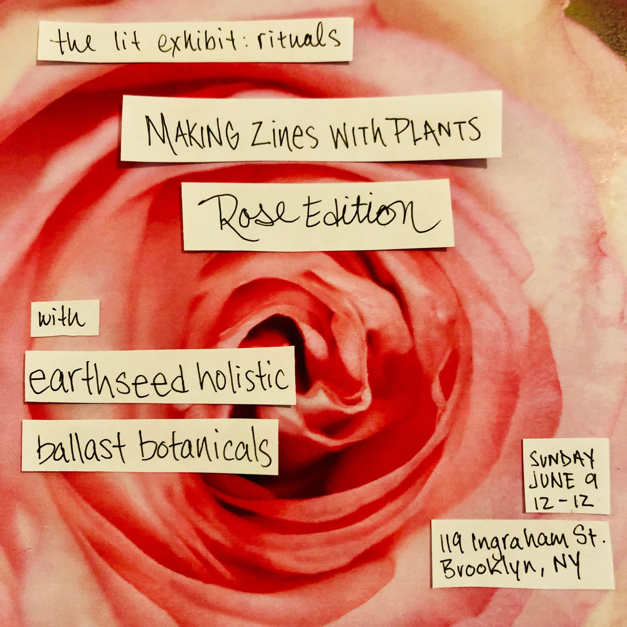 Lit Fest Summer Sessions: Making Zines With Plants