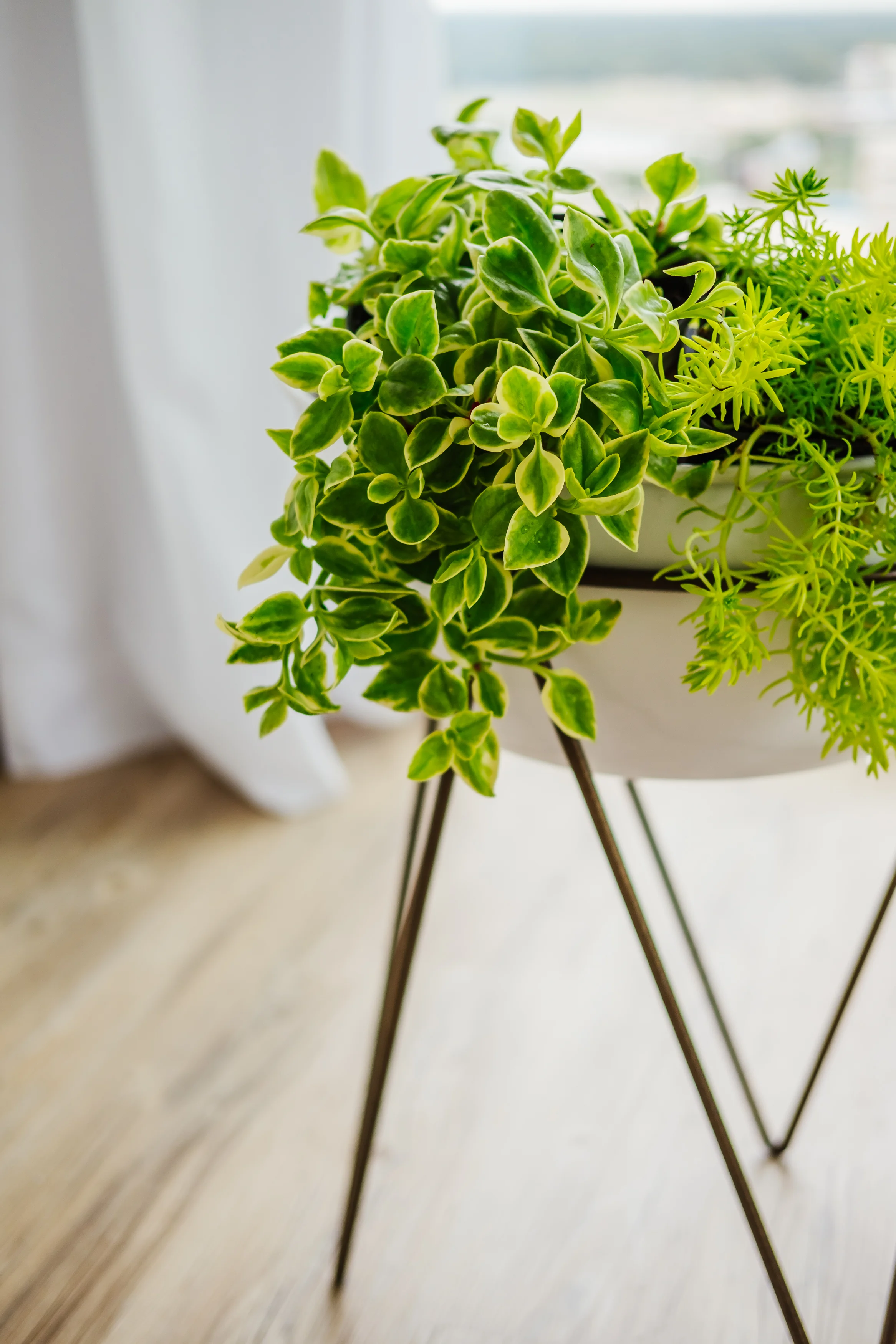 Planter from Four Hands