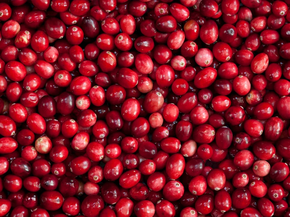 cranberry-bog-new-england-packaging.jpg