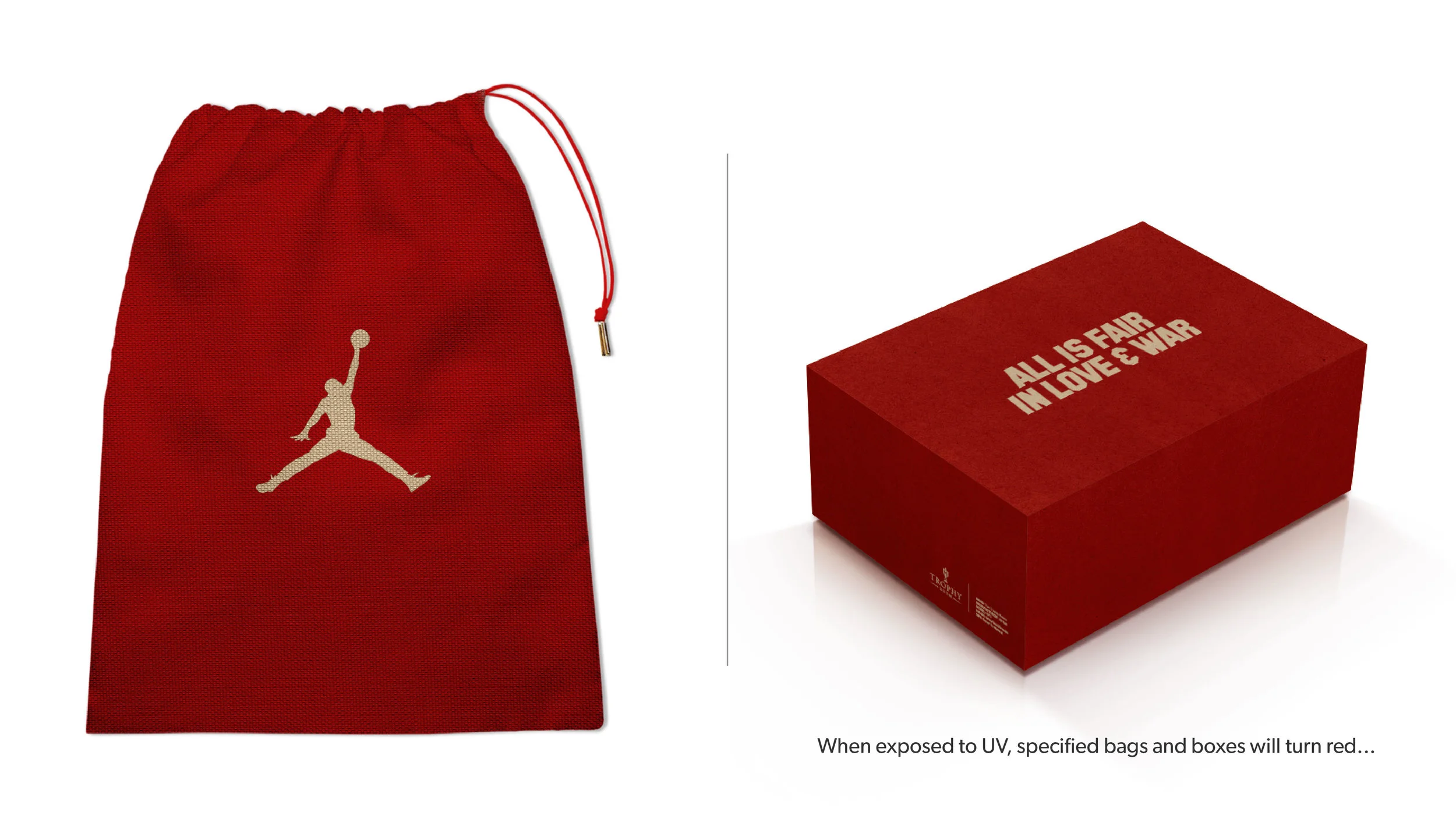 trophy_room_air_jordan_xvii_packaging_concept_36.jpg