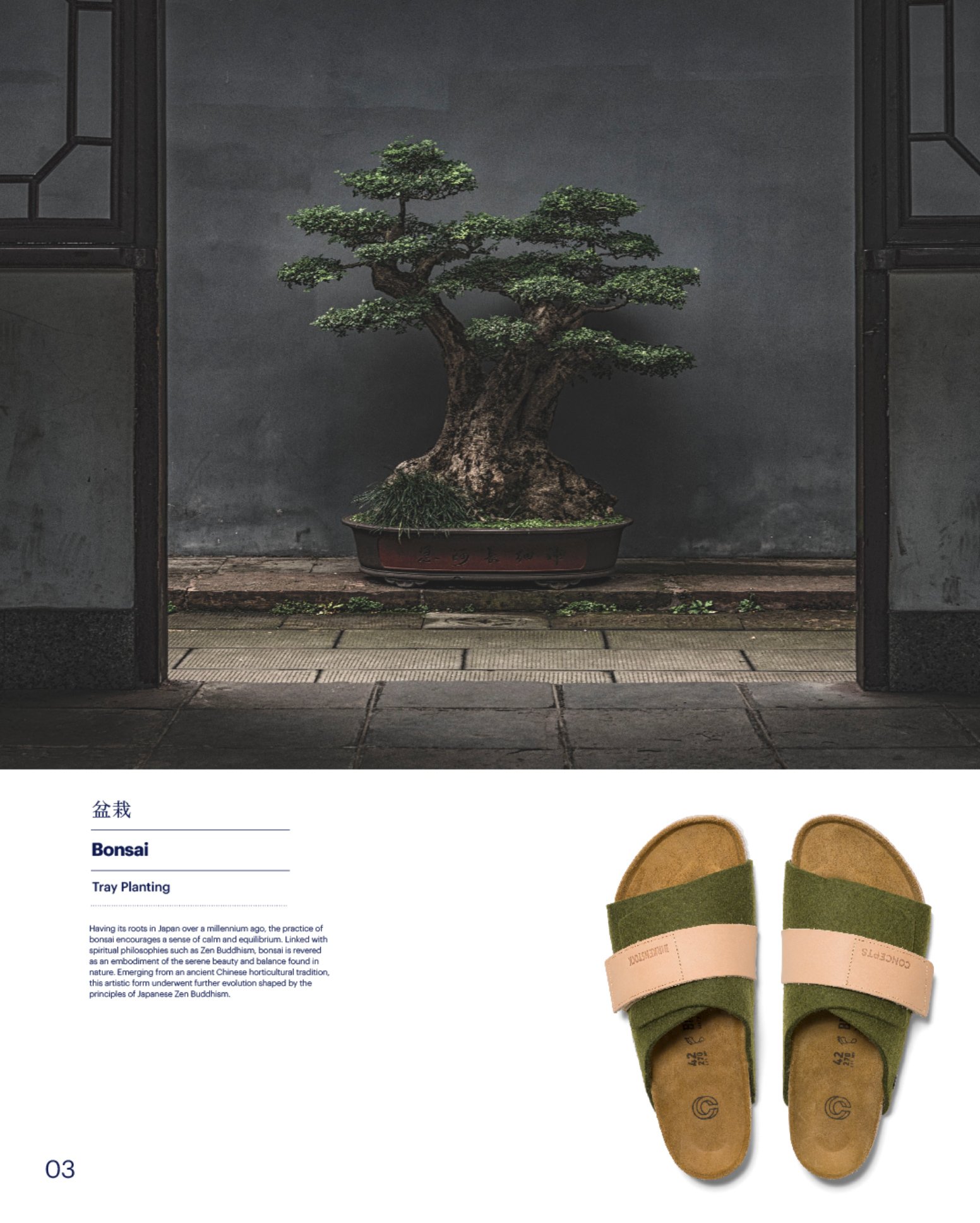 birkenstock_cncpts_kyoto_6.jpg