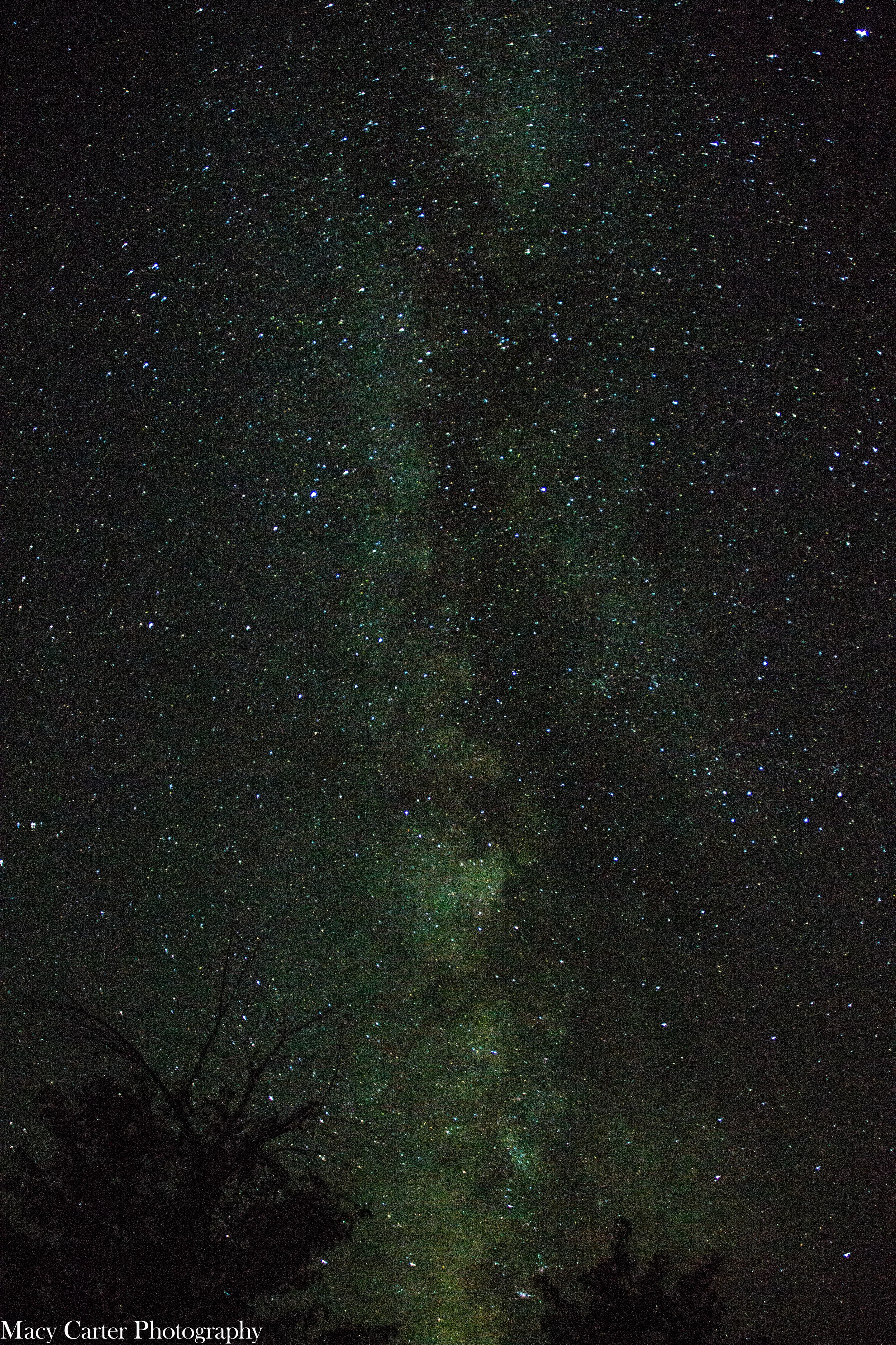 DSC_1105.jpg