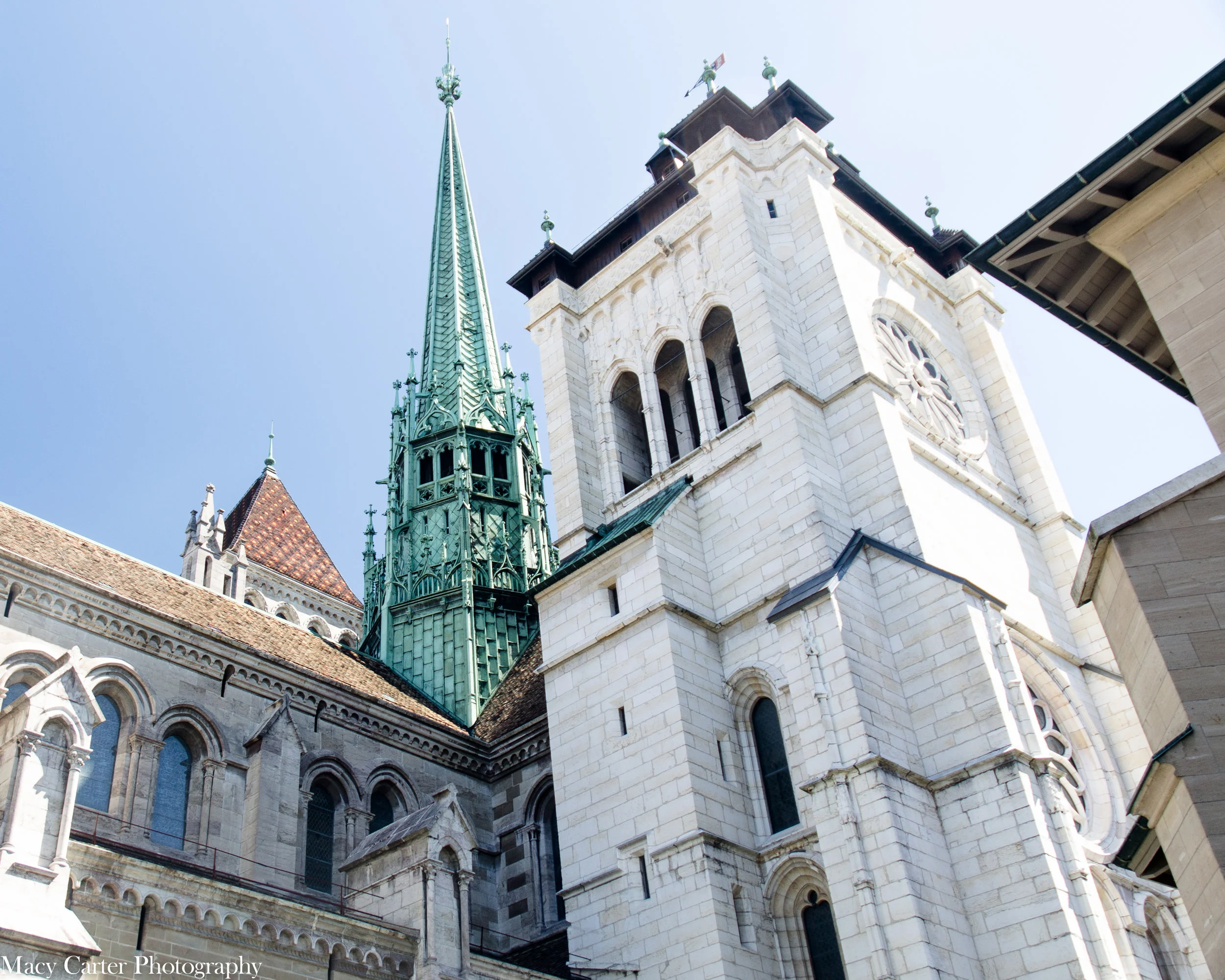 DSC_0411.jpg
