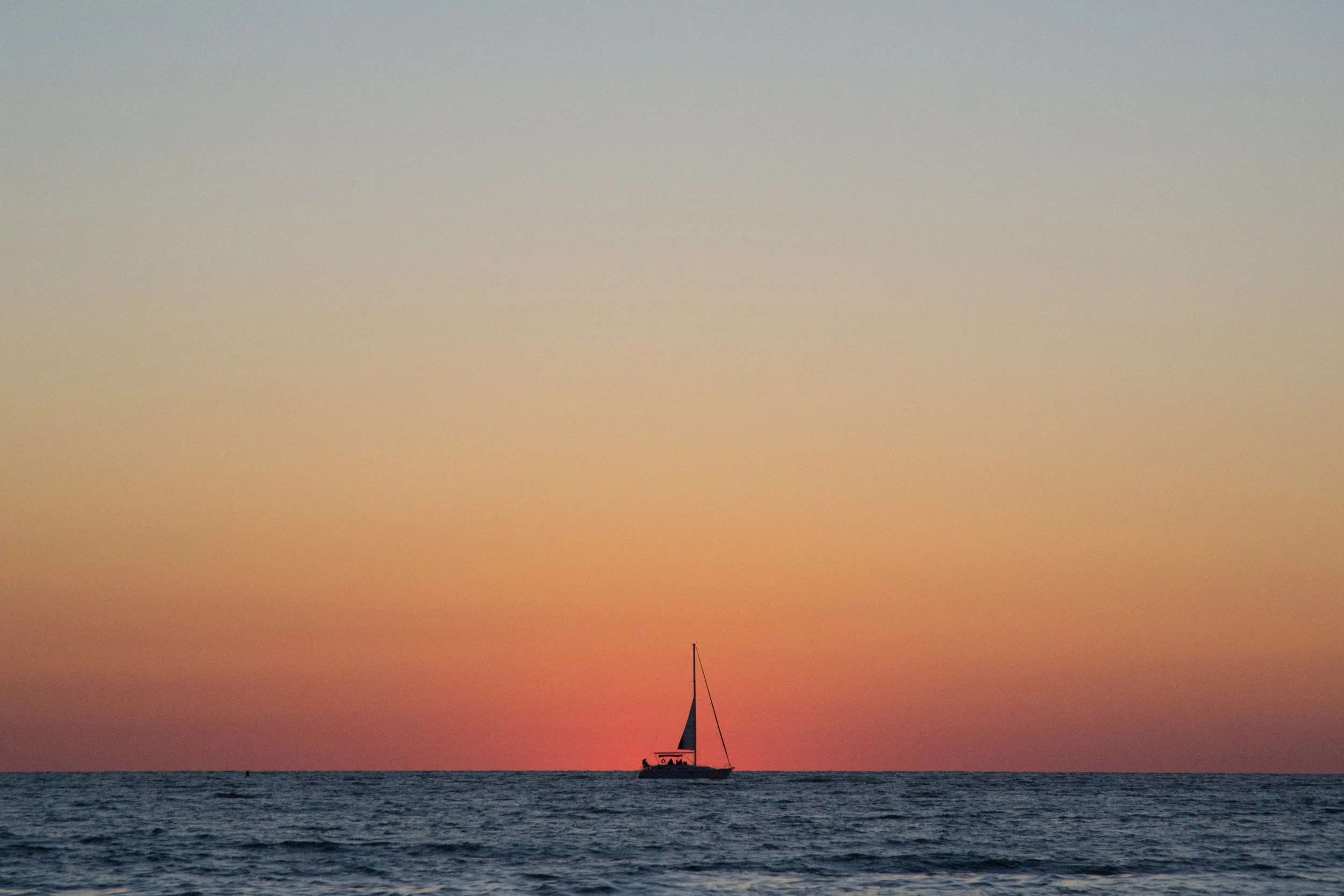 DSC_0822.jpg