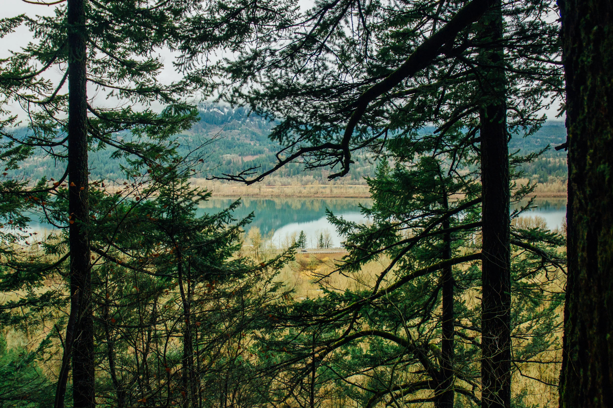 DSC_0517.jpg