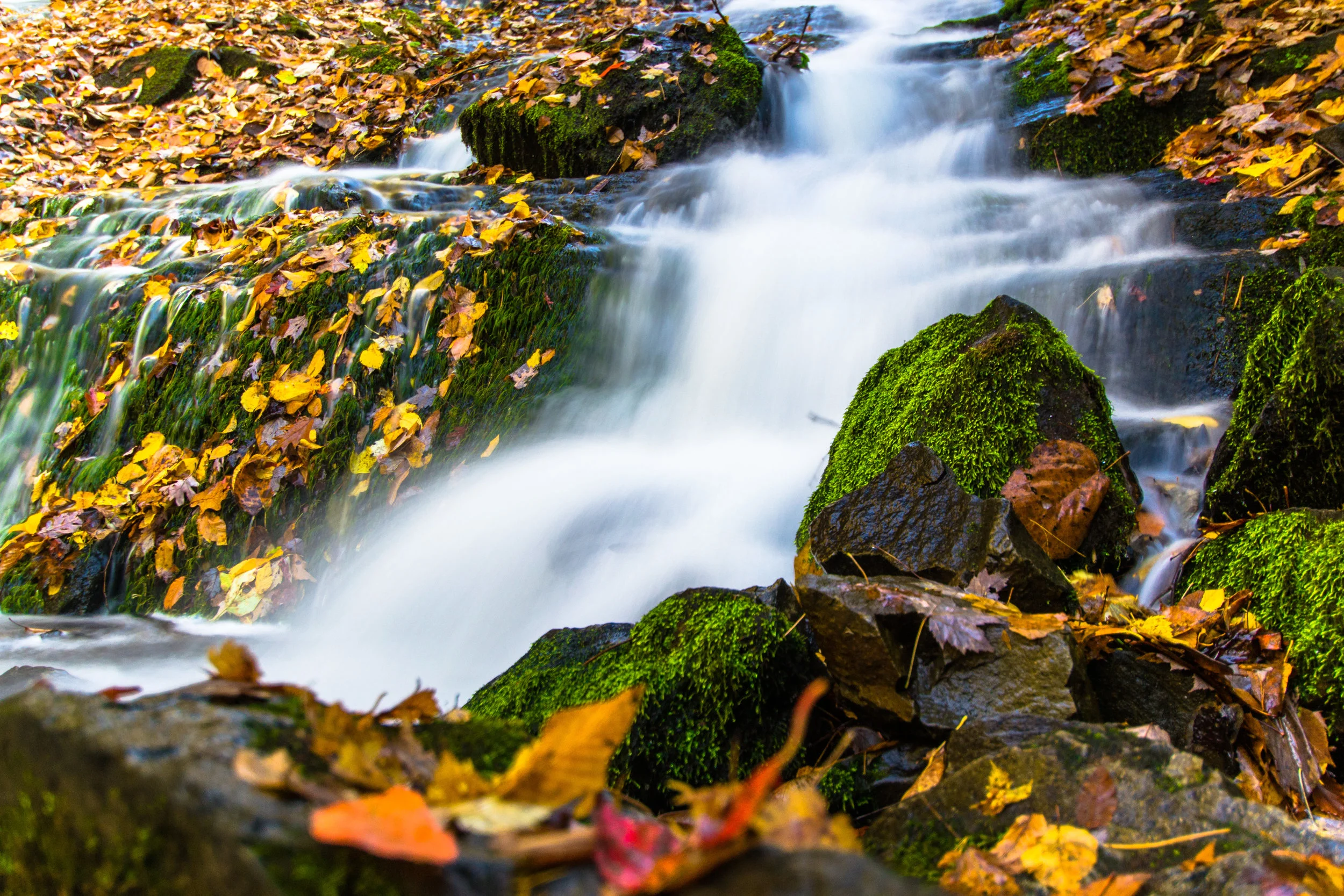 MacyCarterPhotography-0007.jpg