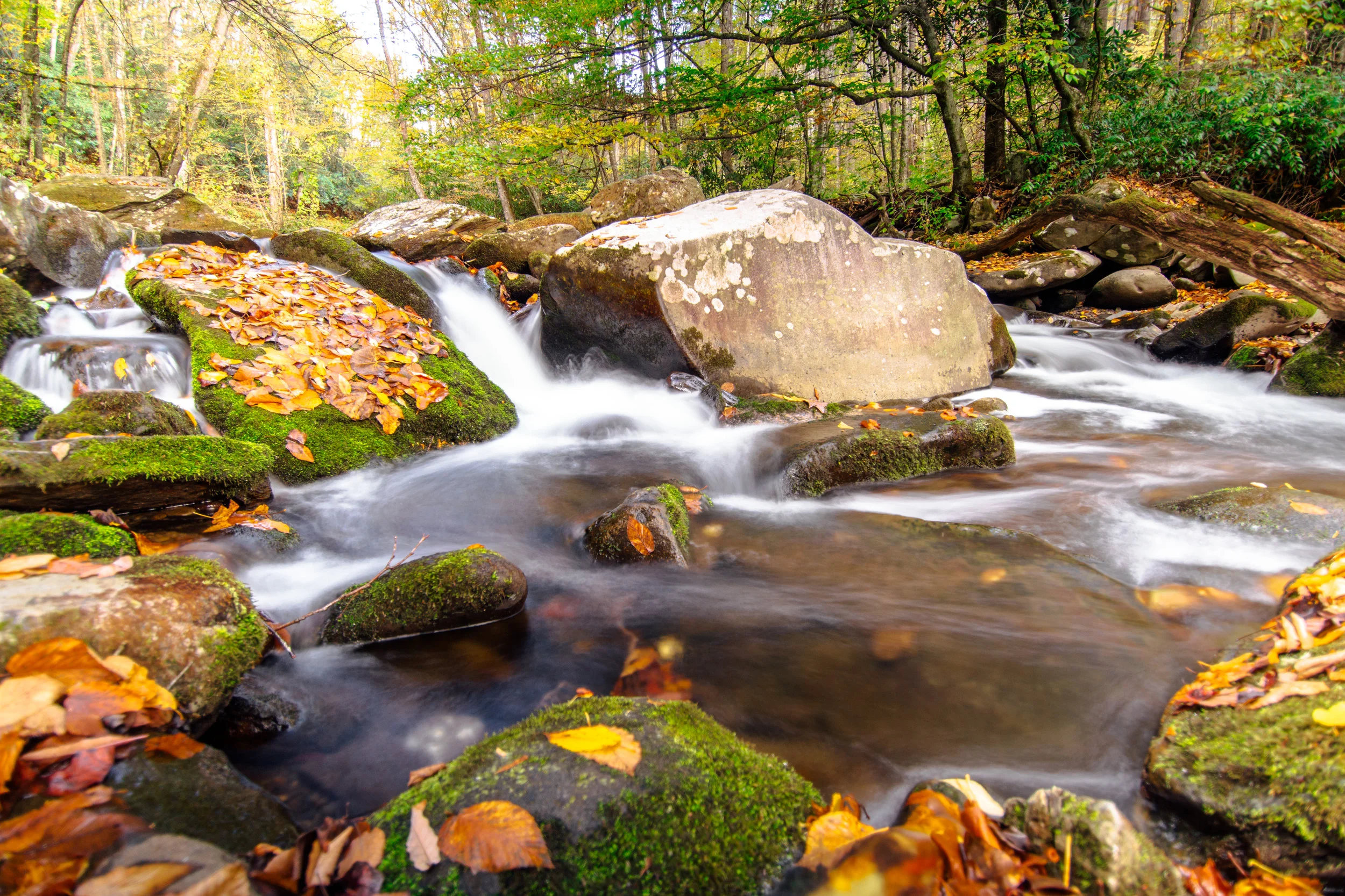 MacyCarterPhotography-0919.jpg