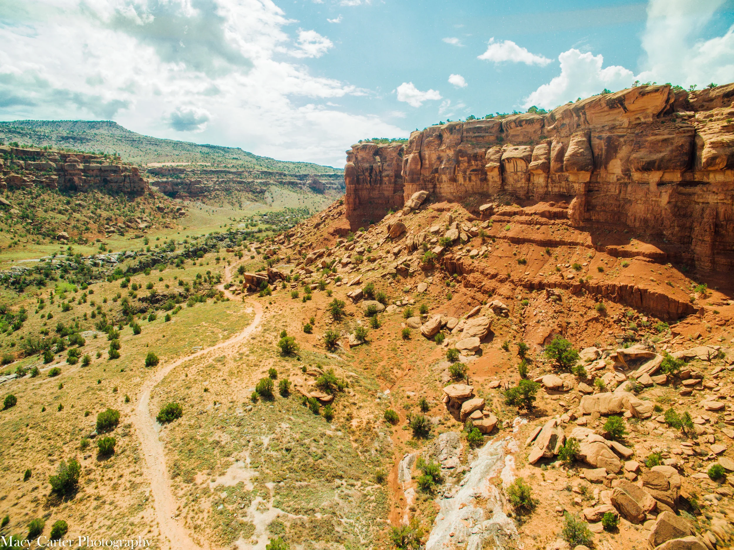 MACYCARTERPHOTOGRAPHY-0177.jpg