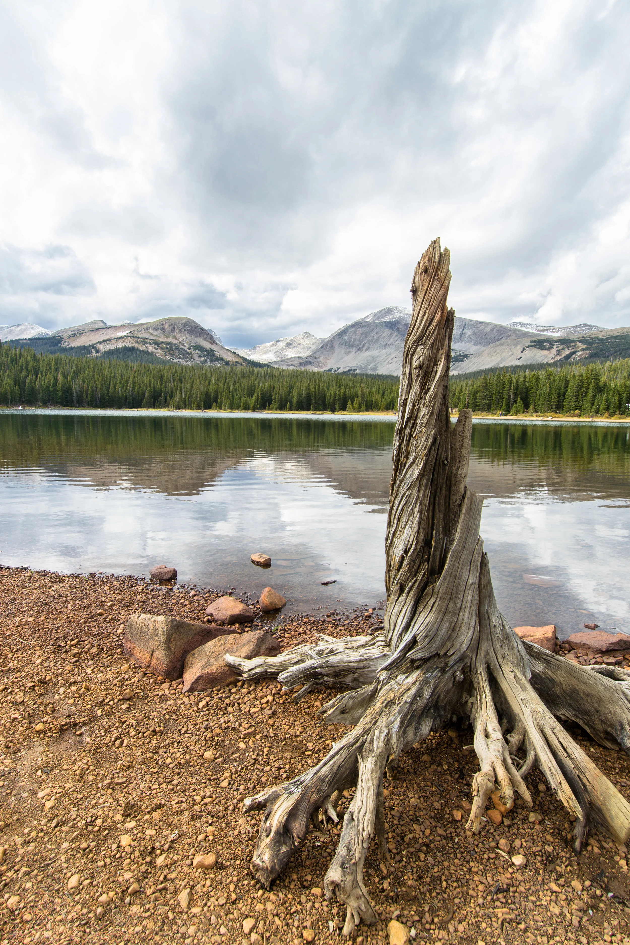MACYCARTERPHOTOGRAPHY-2-37.jpg
