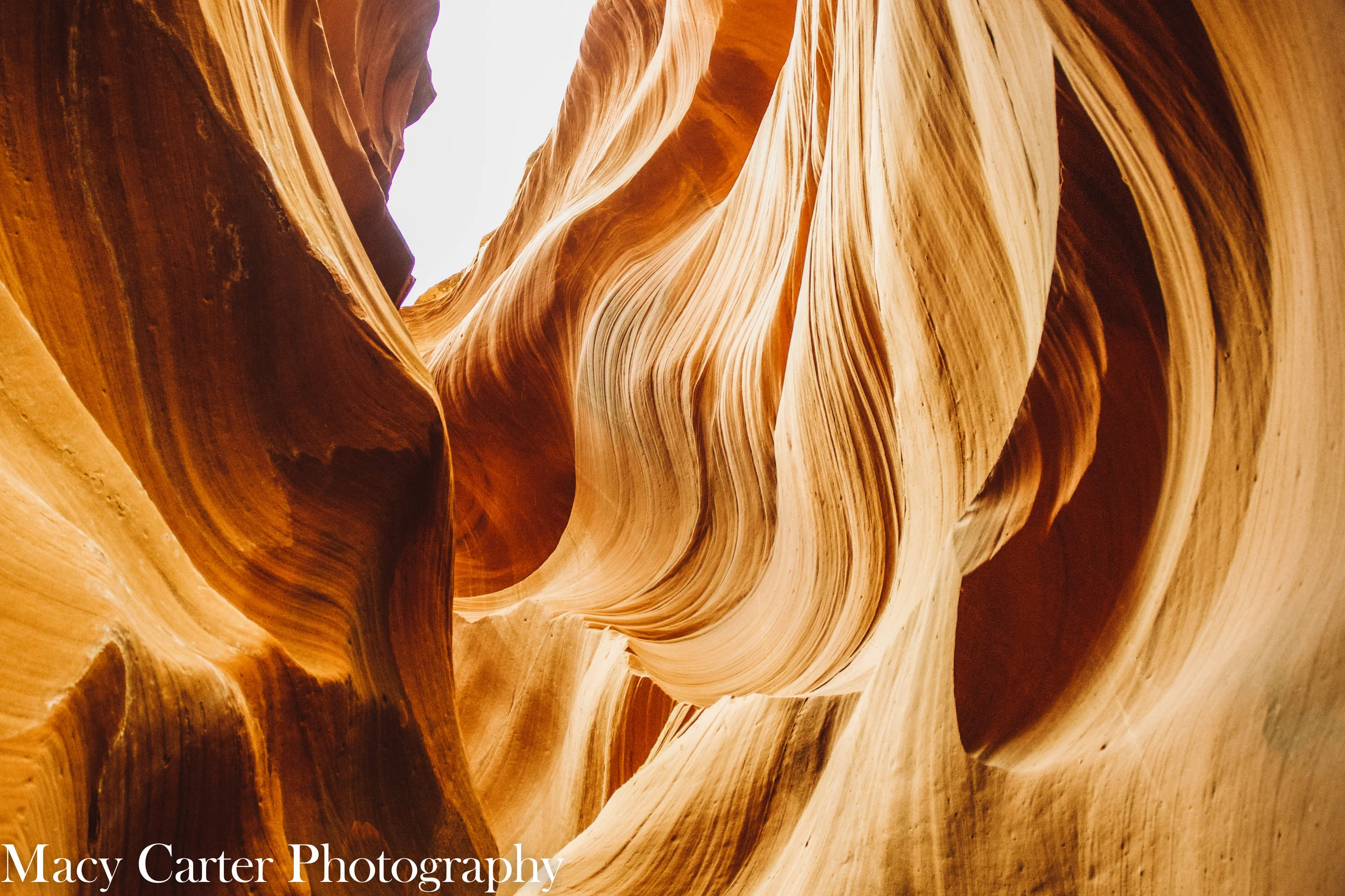 MACYCARTERPHOTOGRAPHY-0424.jpg