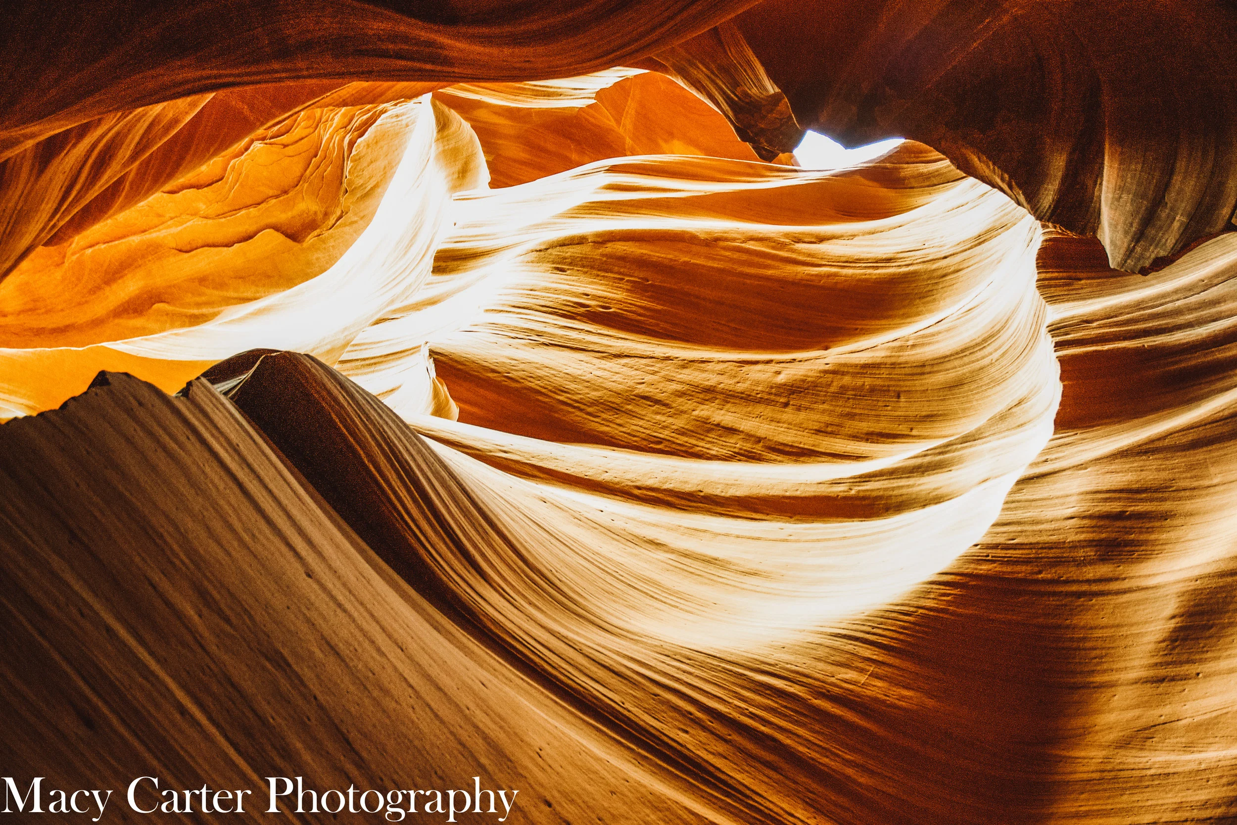 MACYCARTERPHOTOGRAPHY-0428.jpg