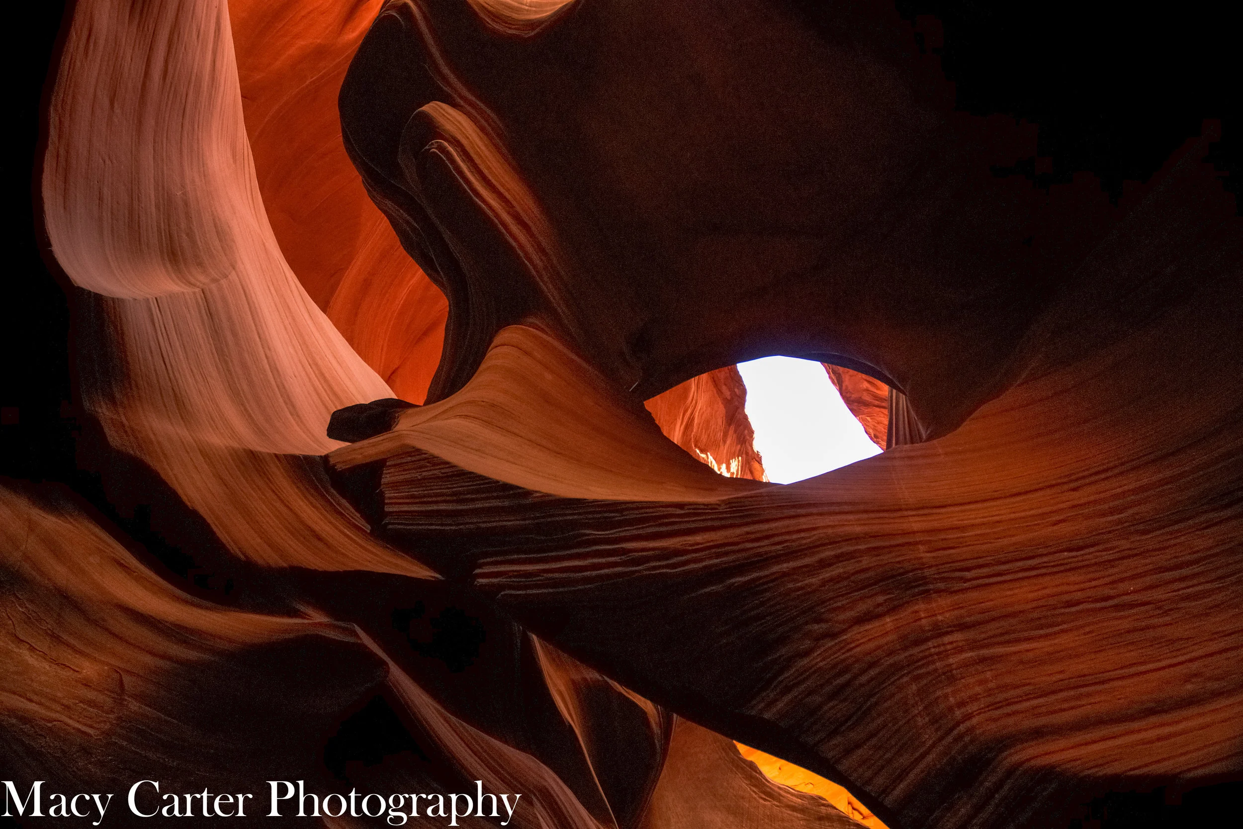 MACYCARTERPHOTOGRAPHY-0461.jpg