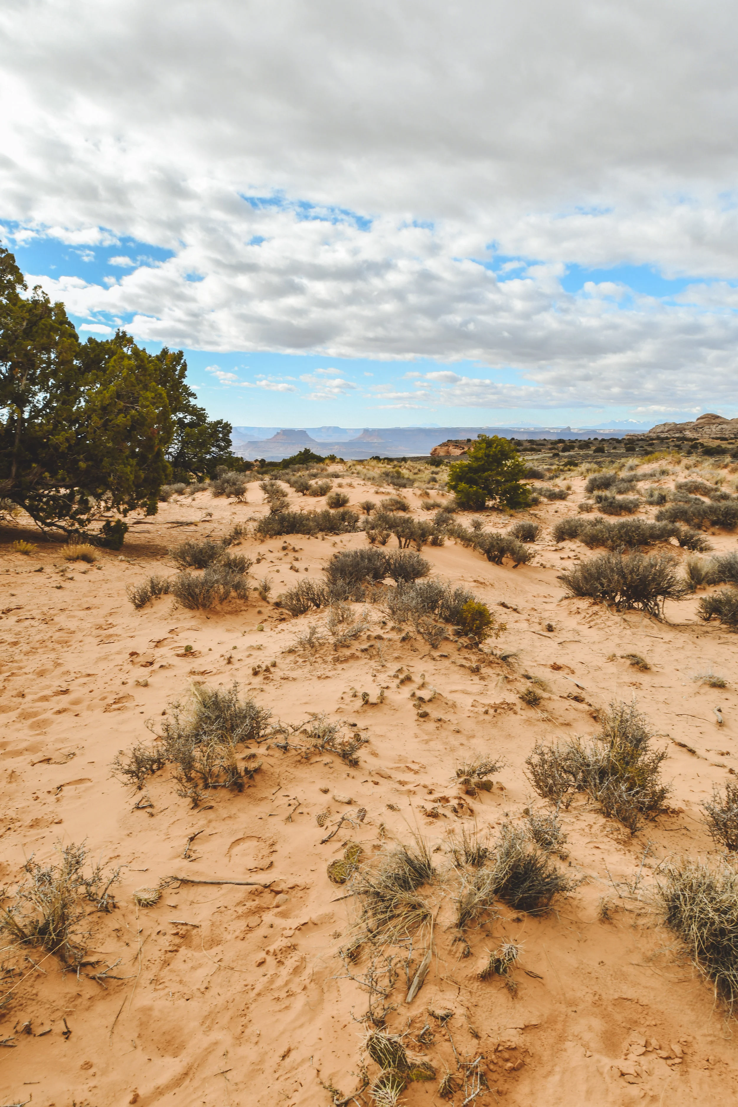 moab_ut_2018-5708.jpg