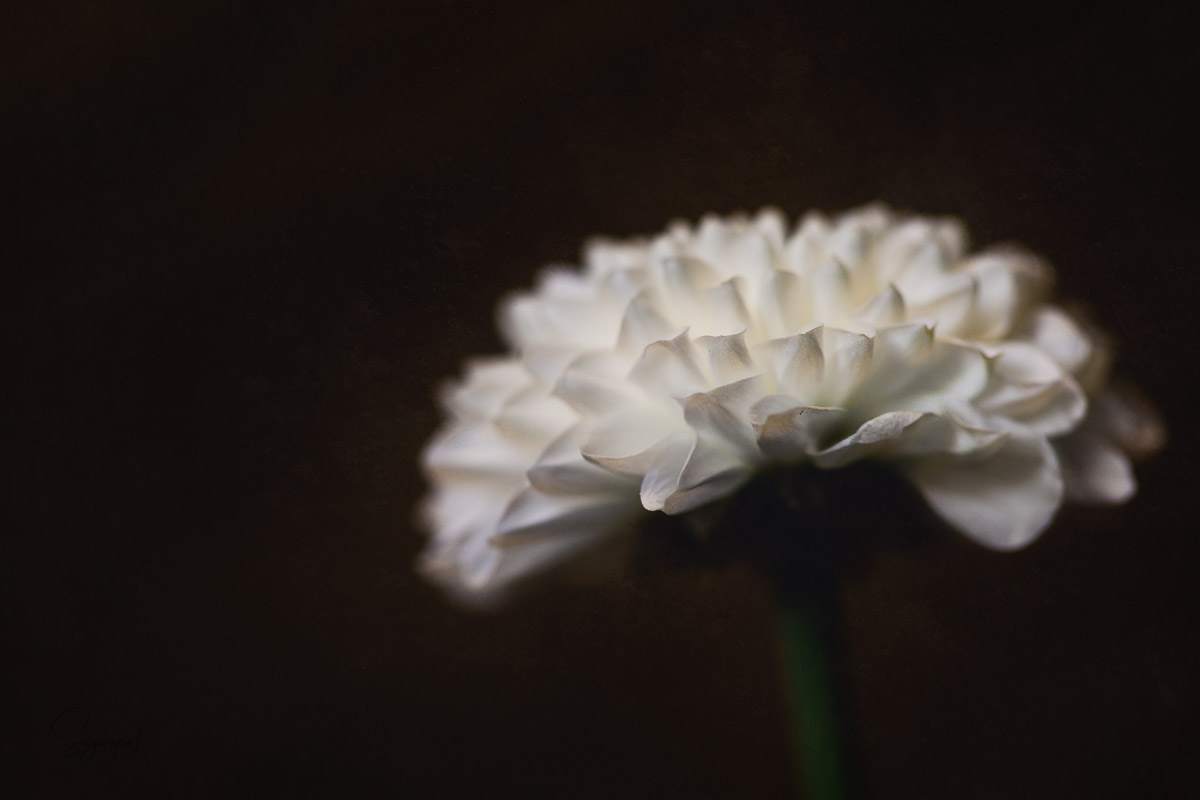 0CFEA381-CBCB-46DD-BDE4-DC8A03648F37.jpeg
