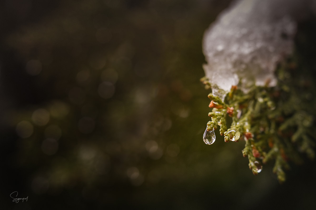05022018-K09C5049-Editar-Editar.jpg