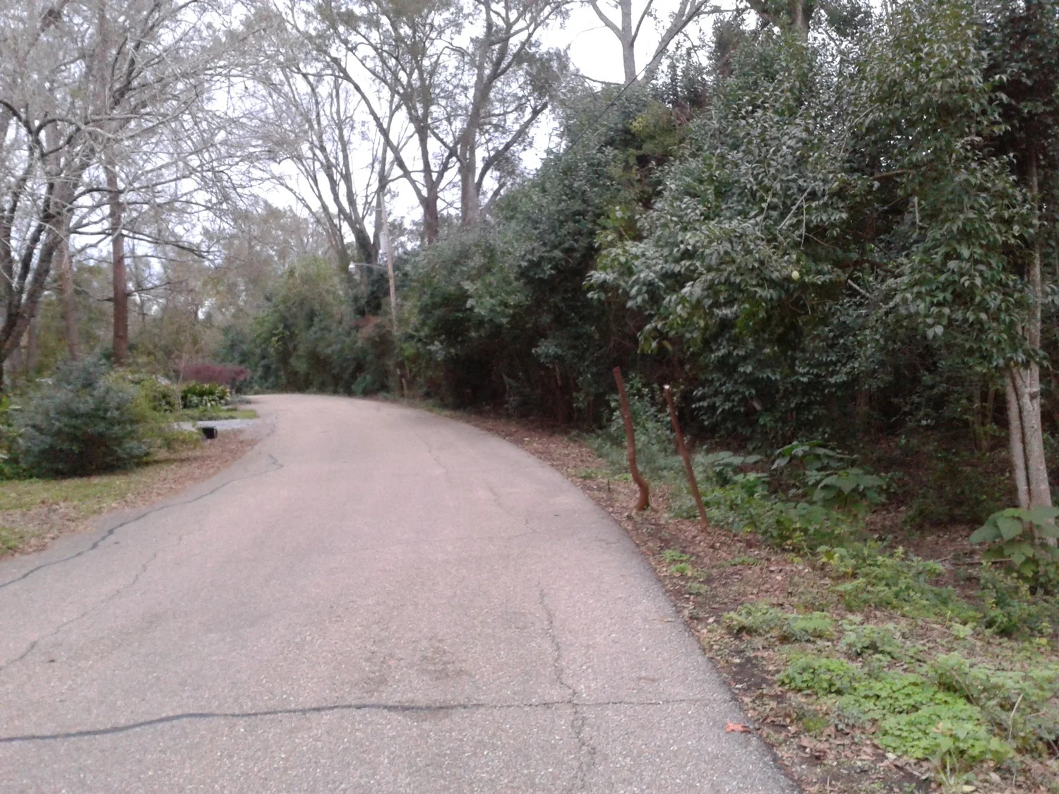 Stage one of the cleanup.