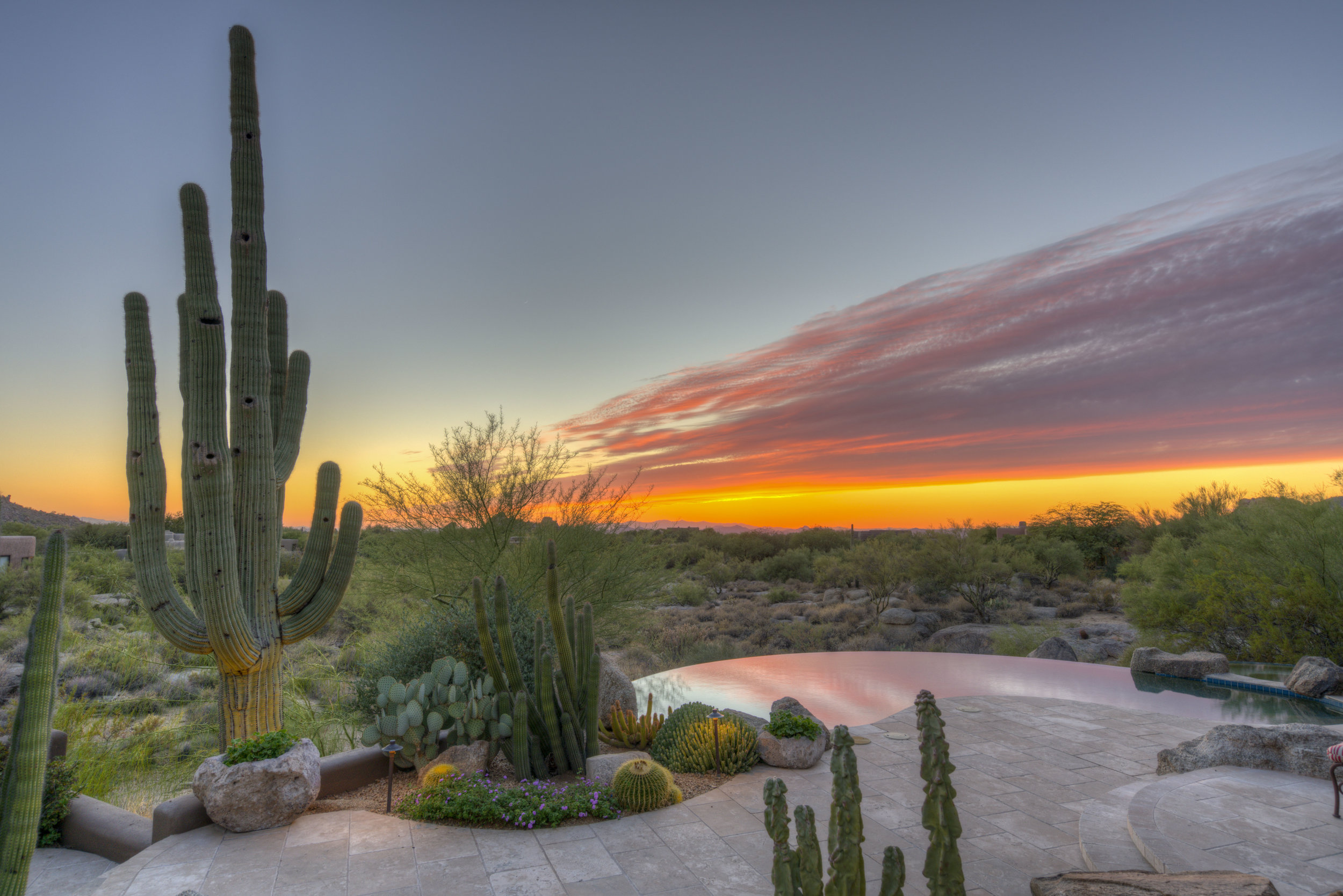 David Peterson Photography