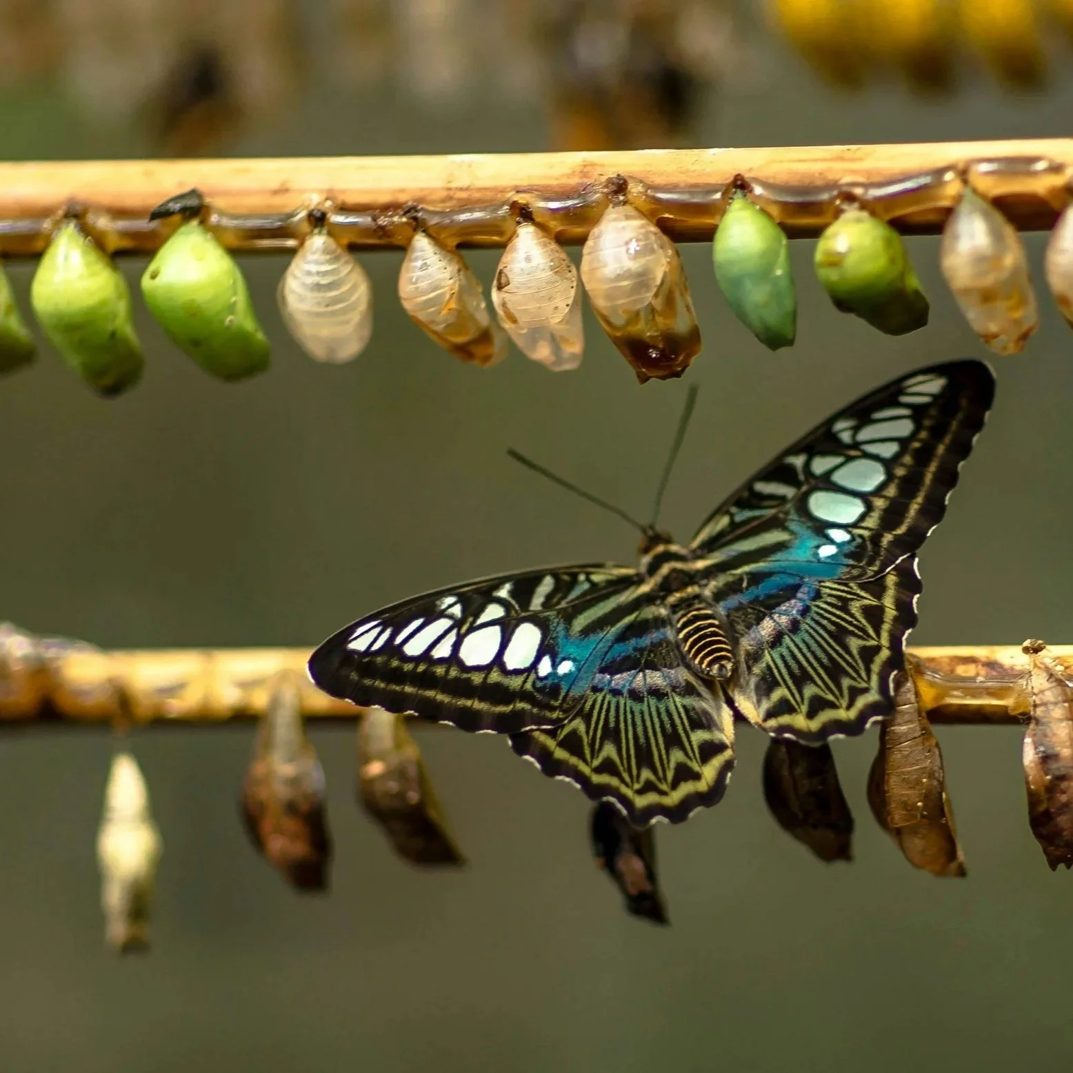 IT'S THE END OF AN ERA...