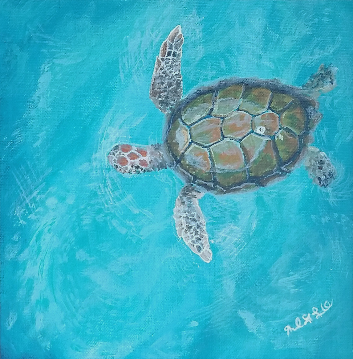 Sea Turtle