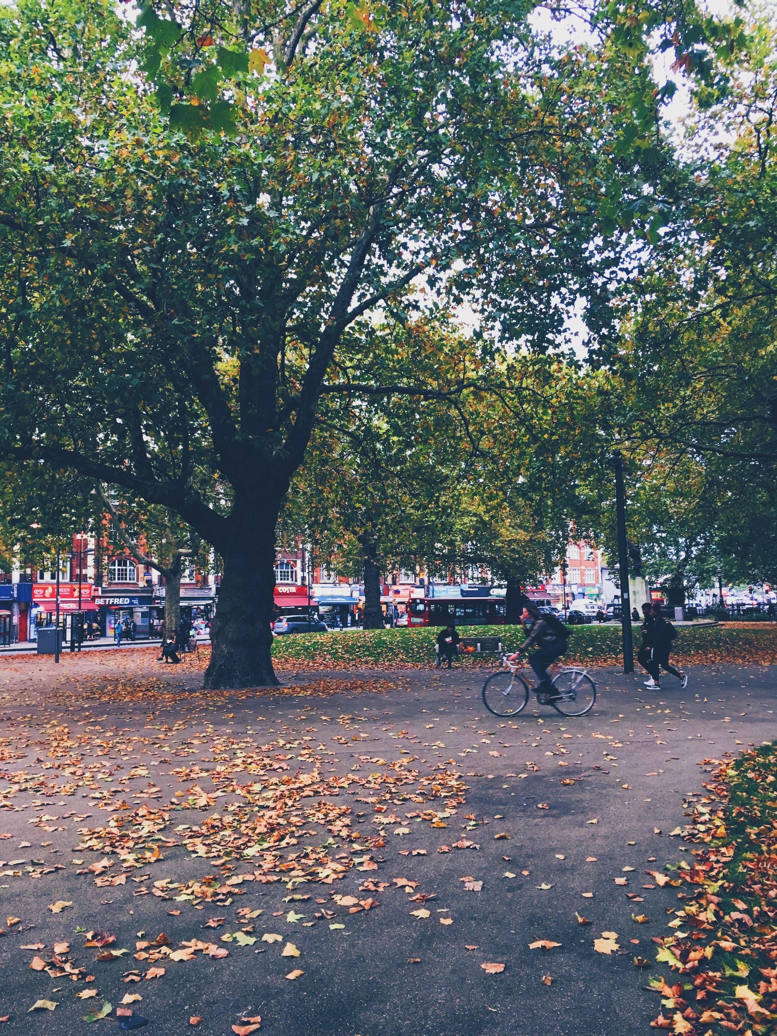 Plus there's Shepherd's Bush Green