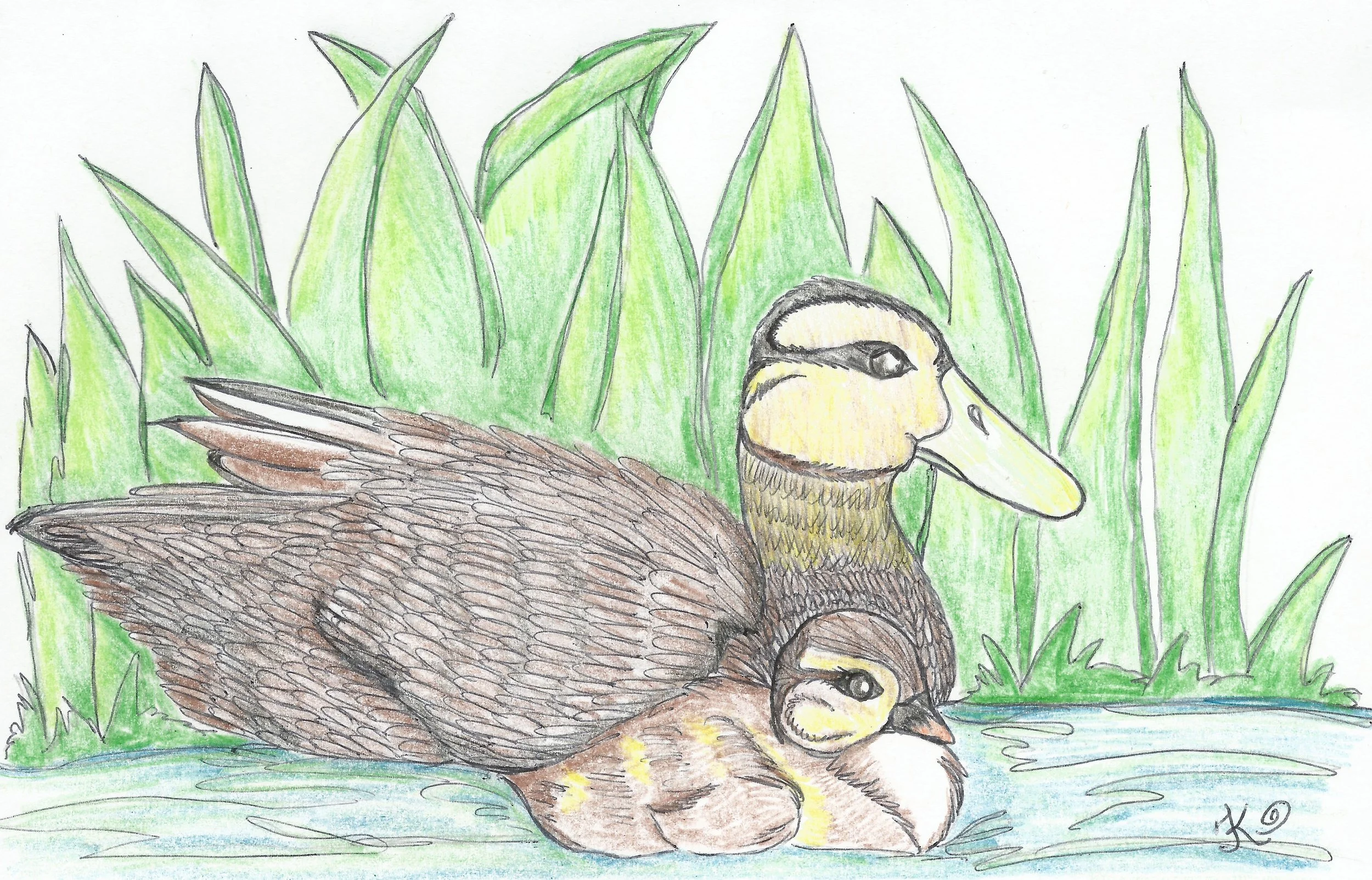 Mama Duck / TinaKayArt.com