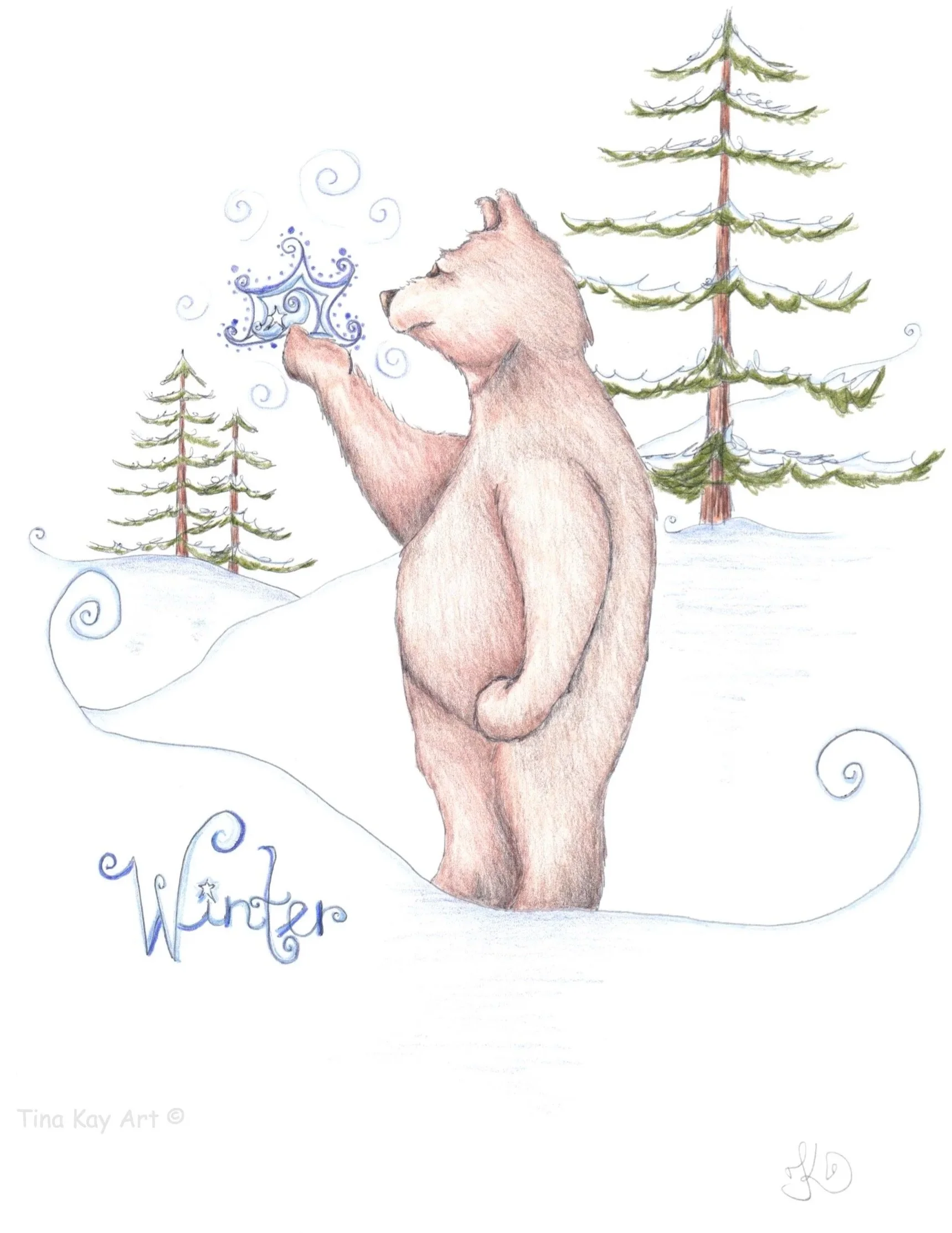 Boreal Bear