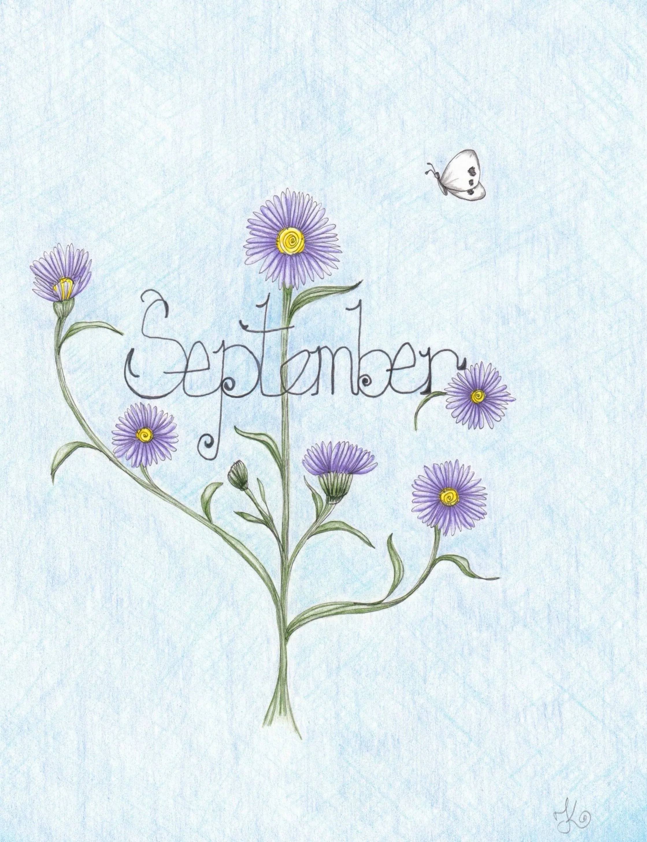 Aster