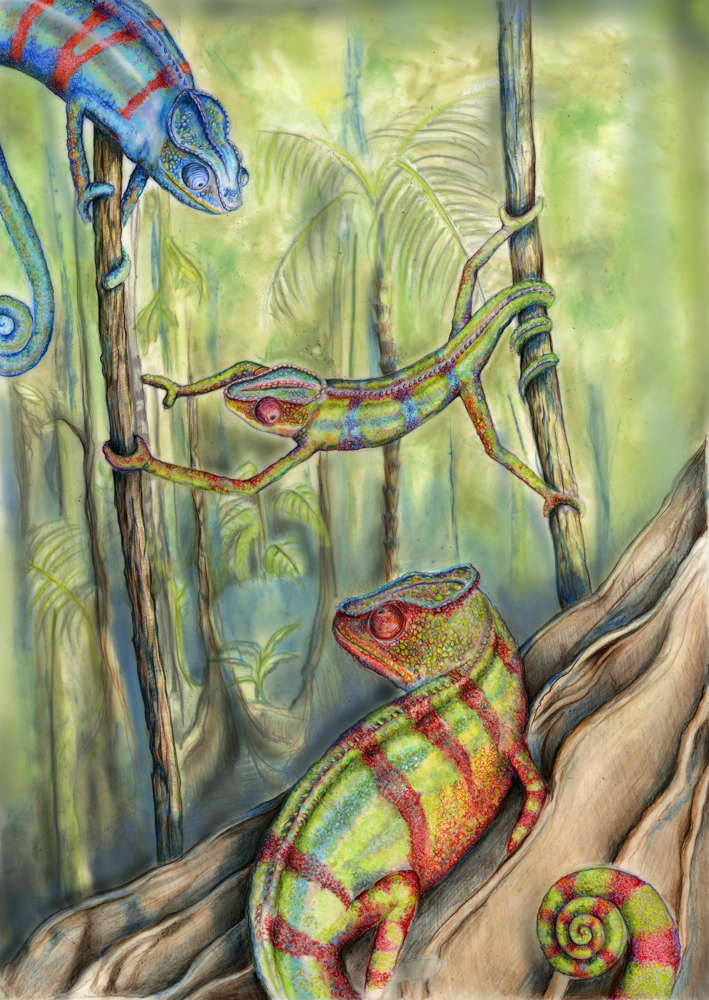 FInal Dynamic vis.png