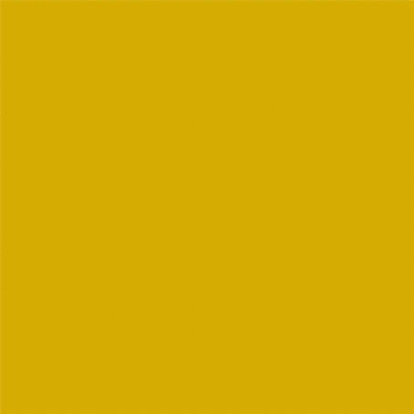 Sunflower_1X1.gif