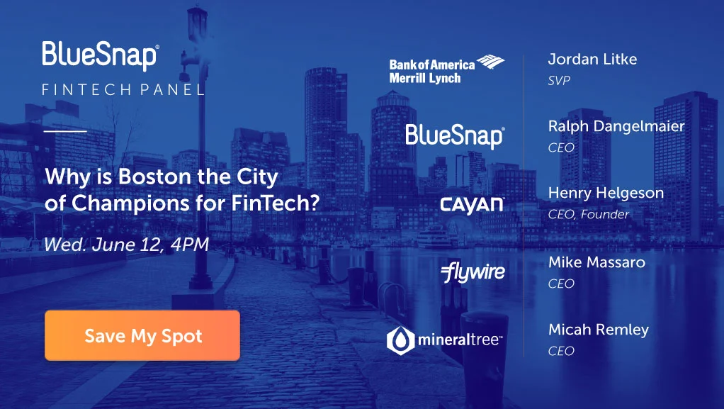 Fintech-Panel-–-June-2019.jpg