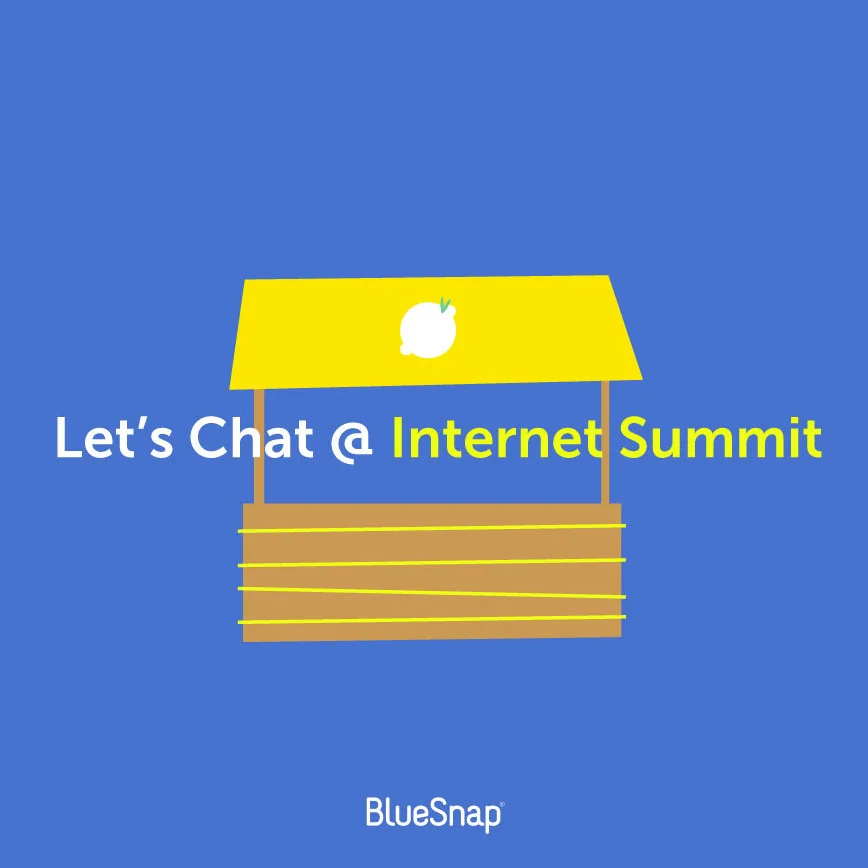 BlueSnap Marketing